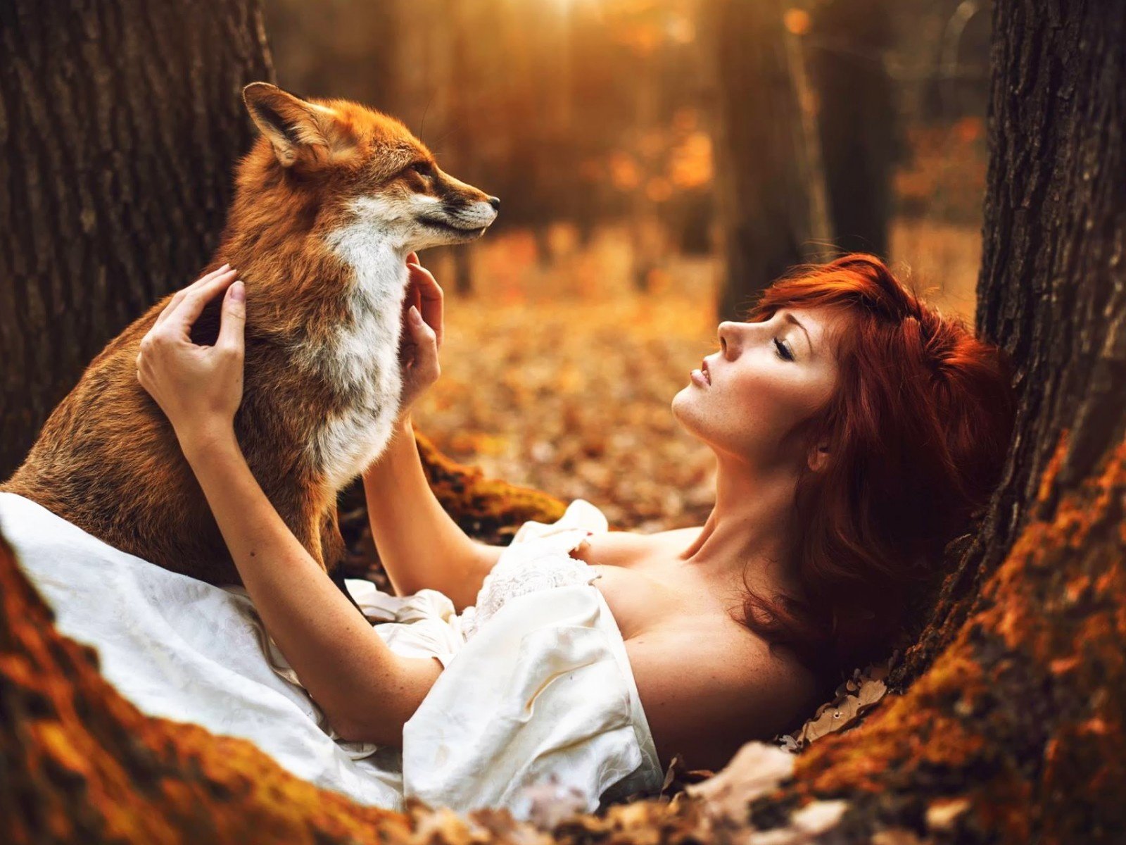 Обои лес, животные, осень, девушки, лиса, рыжеволосая, forest, animals, autumn, girls, fox, redhead разрешение 1920x1200 Загрузить