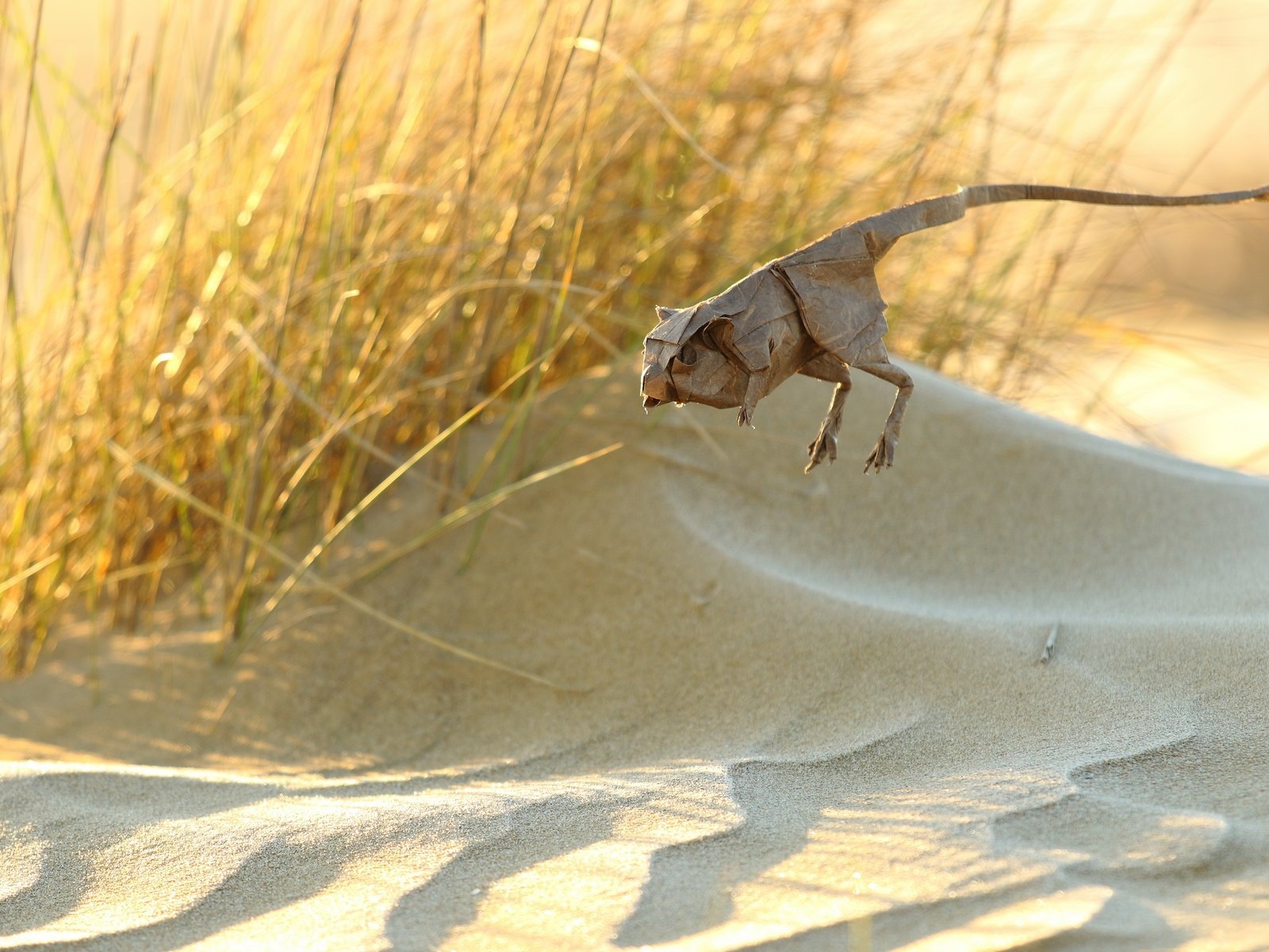 Обои бумага, оригами, животное, jerbo pigmeo de baluchistan, тушканчик, paper, origami, animal, jerboa разрешение 2560x1707 Загрузить