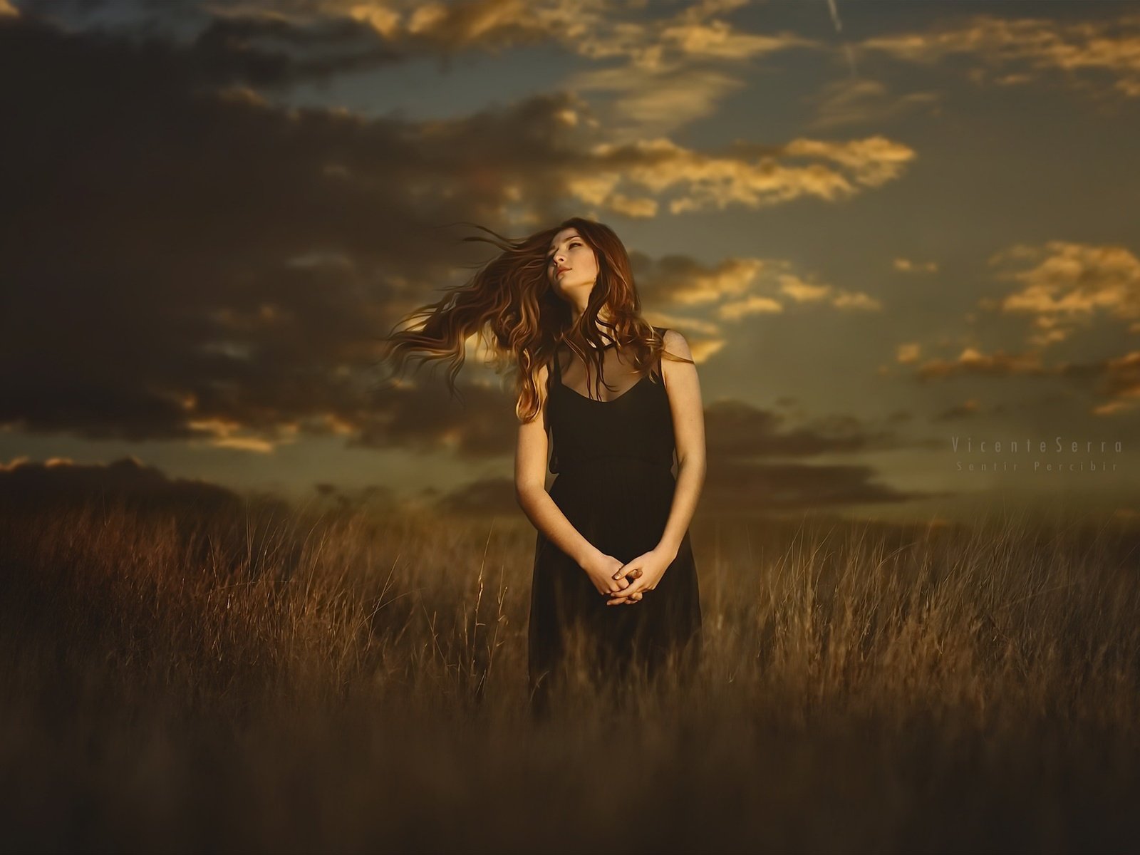 Обои закат, девушка, поле, волосы, sunset, girl, field, hair разрешение 2048x1256 Загрузить