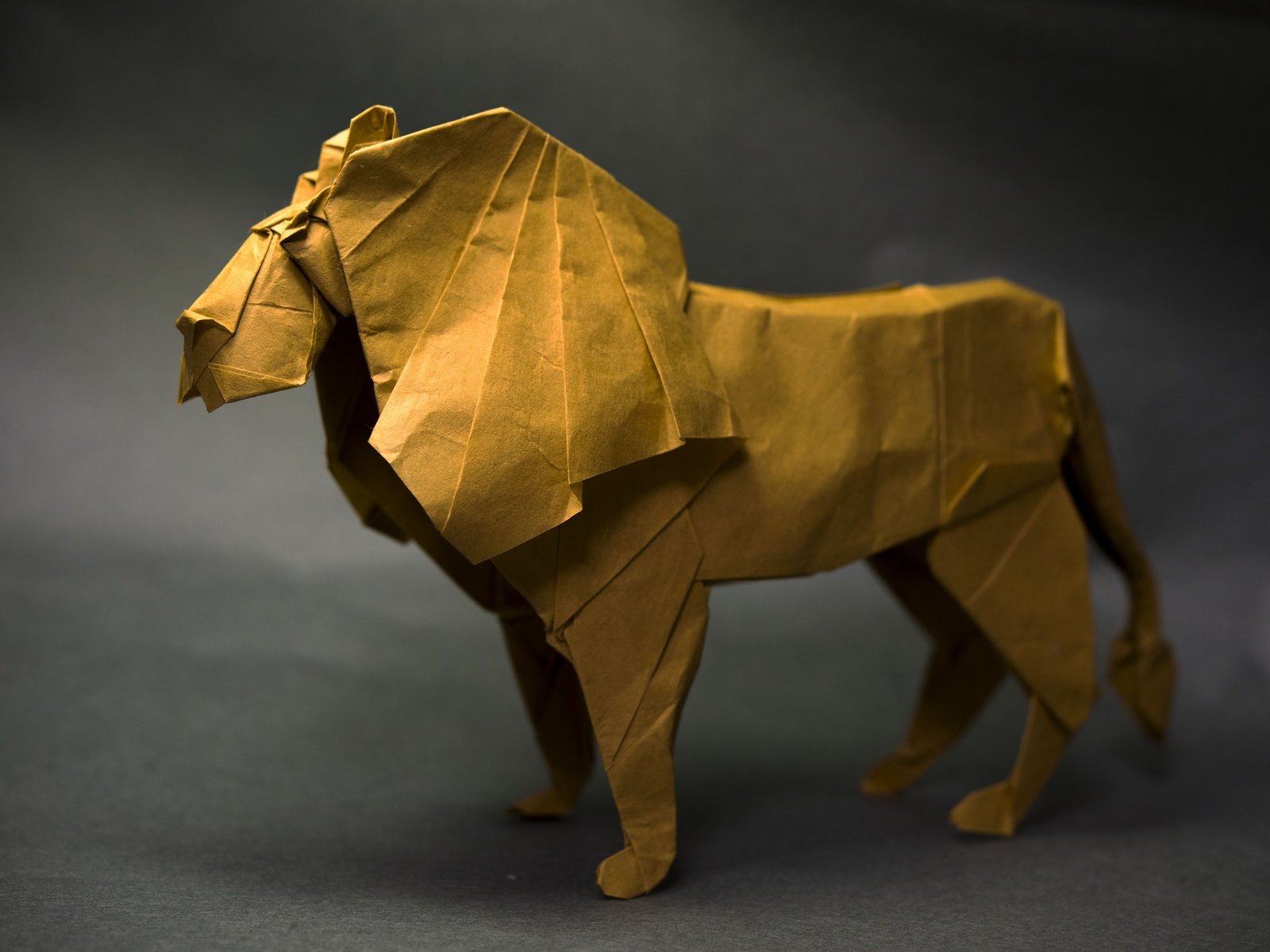 Обои бумага, оригами, лев, paper, origami, leo разрешение 7006x4676 Загрузить