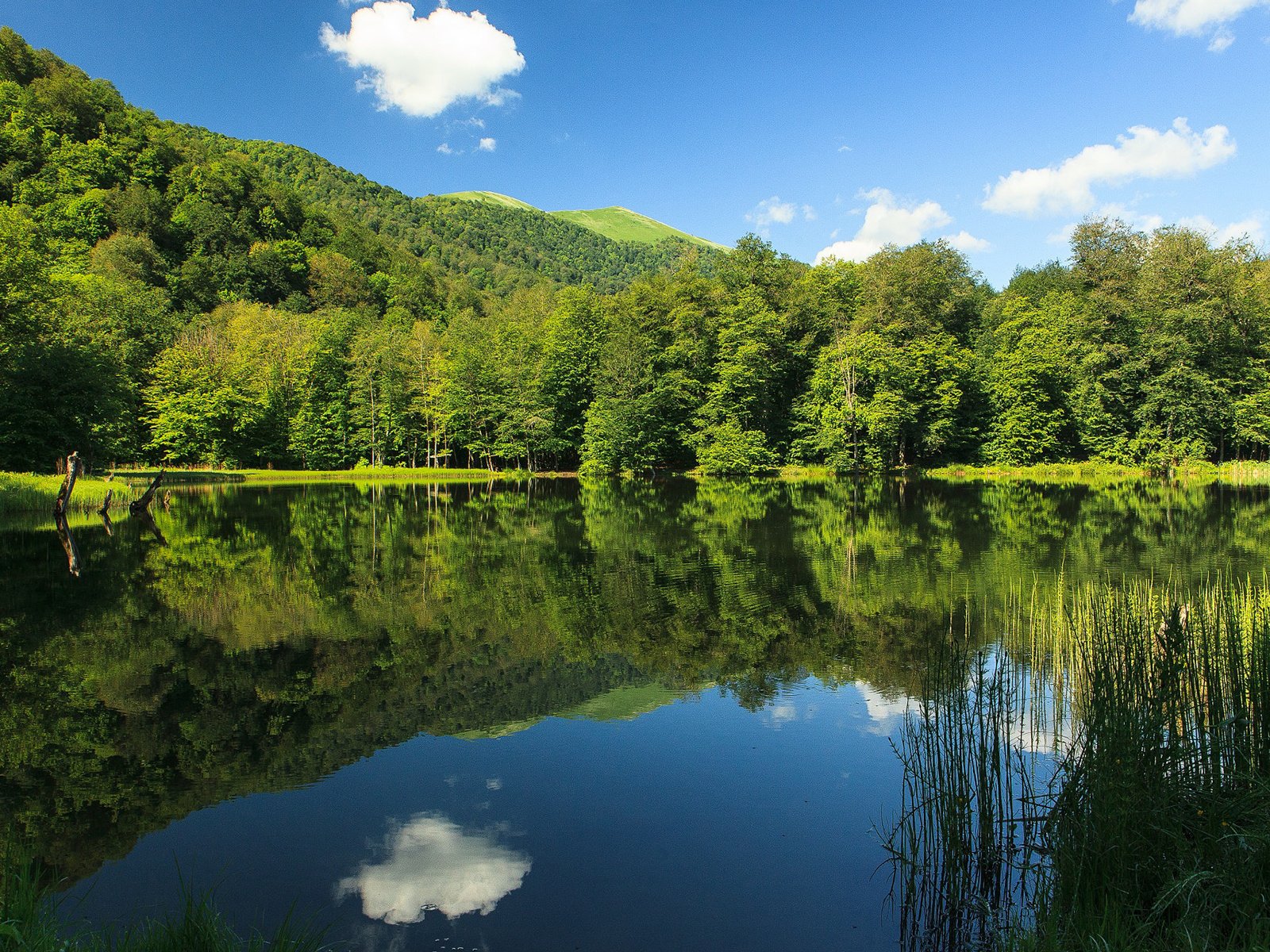 Обои небо, облака, озеро, природа, лес, отражение, the sky, clouds, lake, nature, forest, reflection разрешение 1920x1200 Загрузить