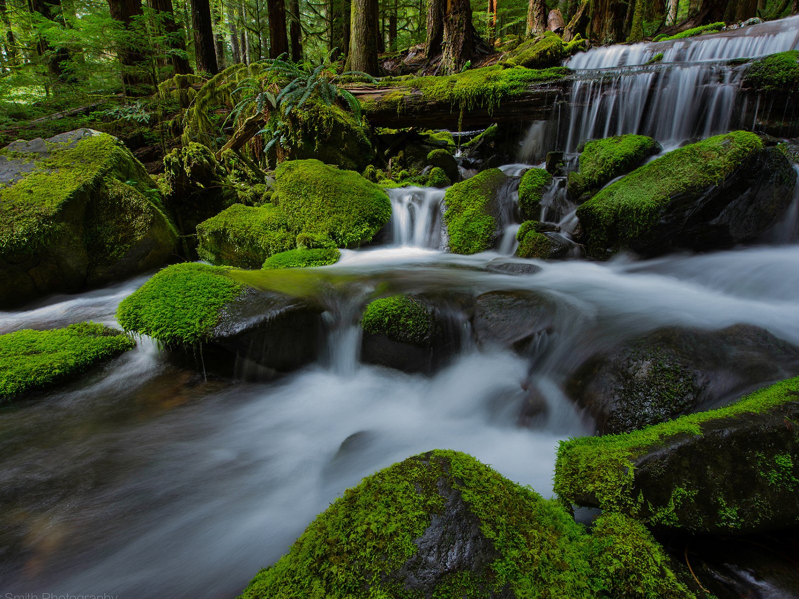 Обои река, природа, камни, лес, водопад, мох, river, nature, stones, forest, waterfall, moss разрешение 1920x1200 Загрузить