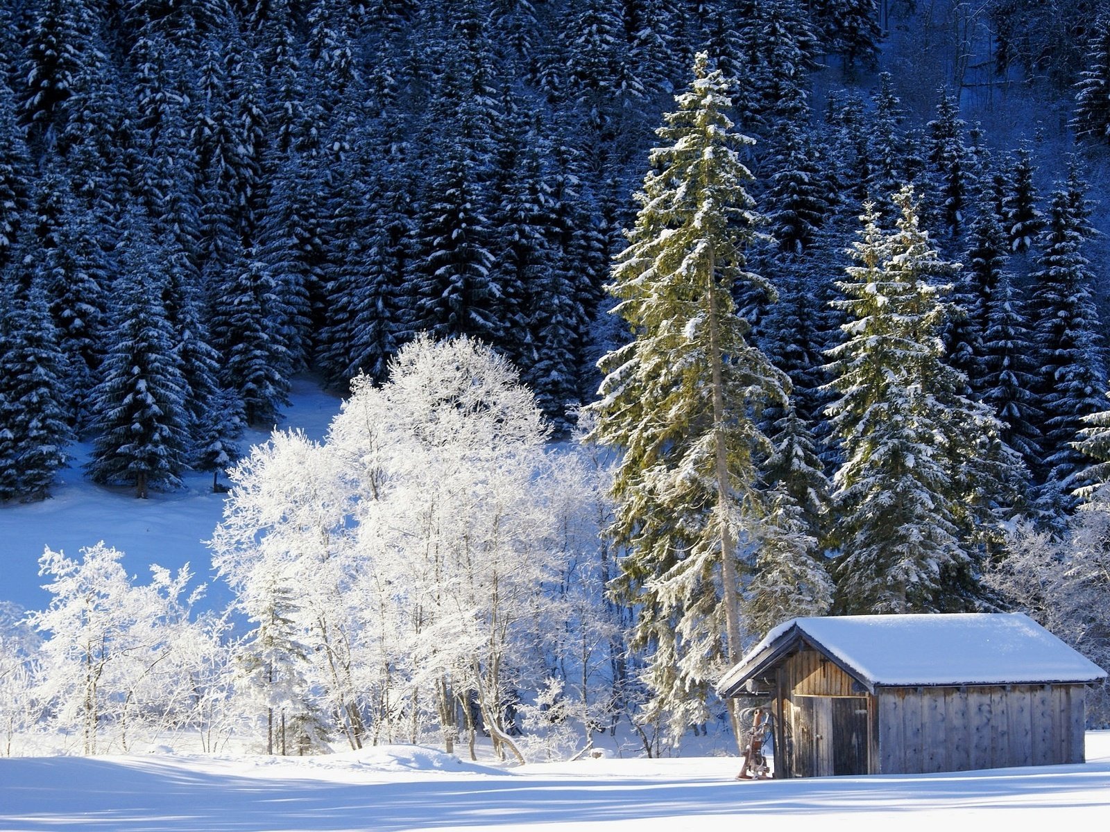 Обои деревья, снег, природа, лес, зима, домик, германия, бавария, trees, snow, nature, forest, winter, house, germany, bayern разрешение 2048x1369 Загрузить