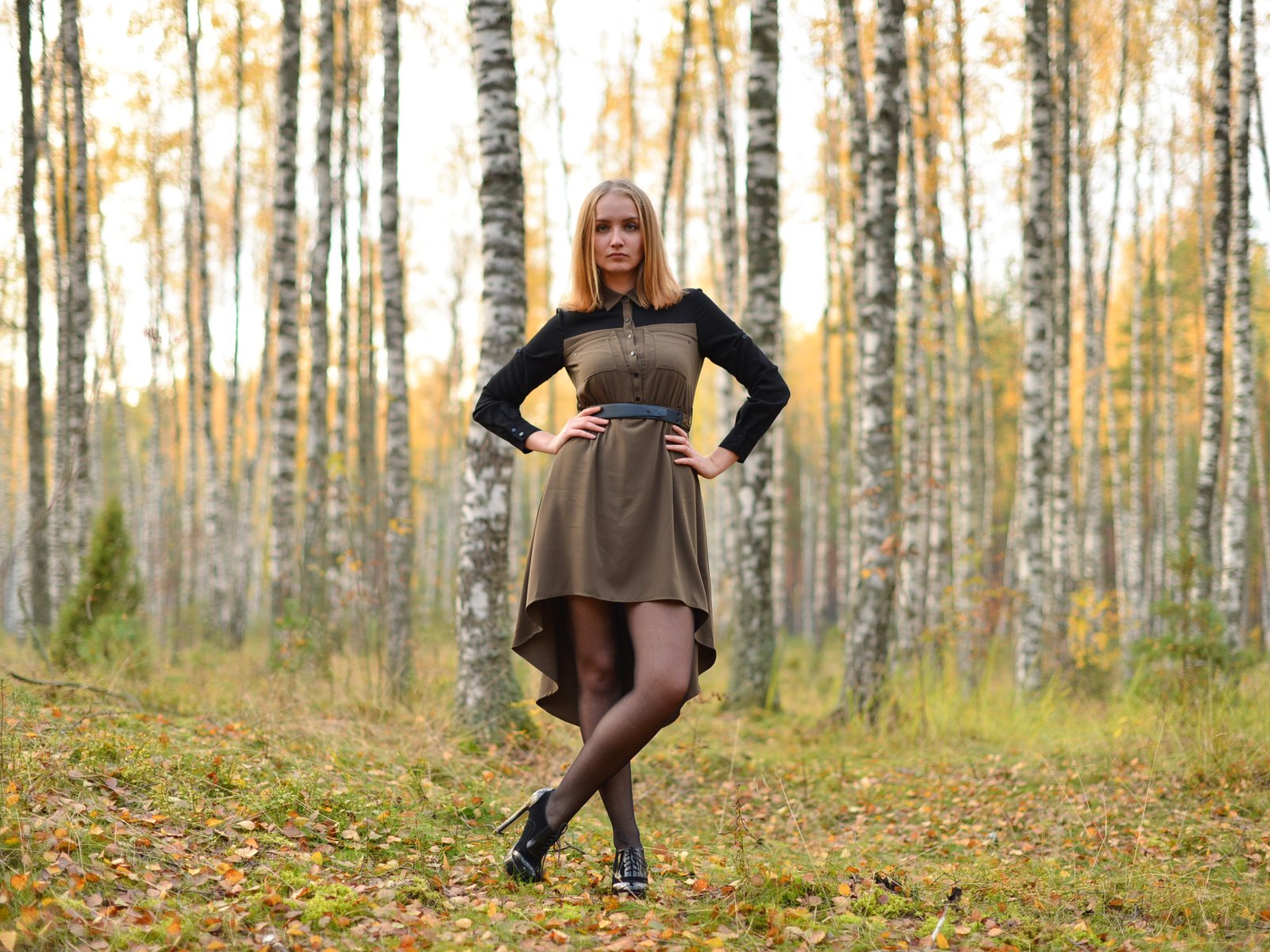 Обои лес, платье, березы, осень, модель, рыжеволосая, forest, dress, birch, autumn, model, redhead разрешение 3008x2008 Загрузить