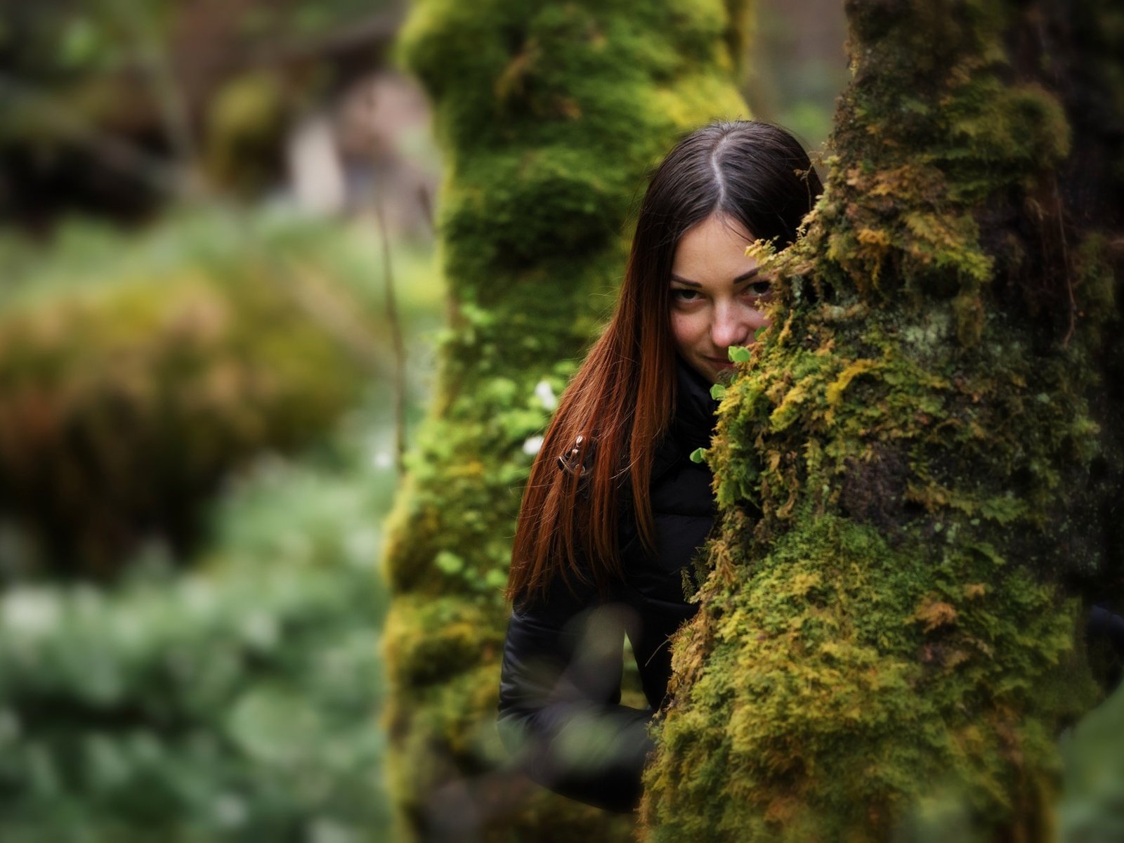 Обои деревья, девушка, взгляд, мох, волосы, trees, girl, look, moss, hair разрешение 2048x1292 Загрузить