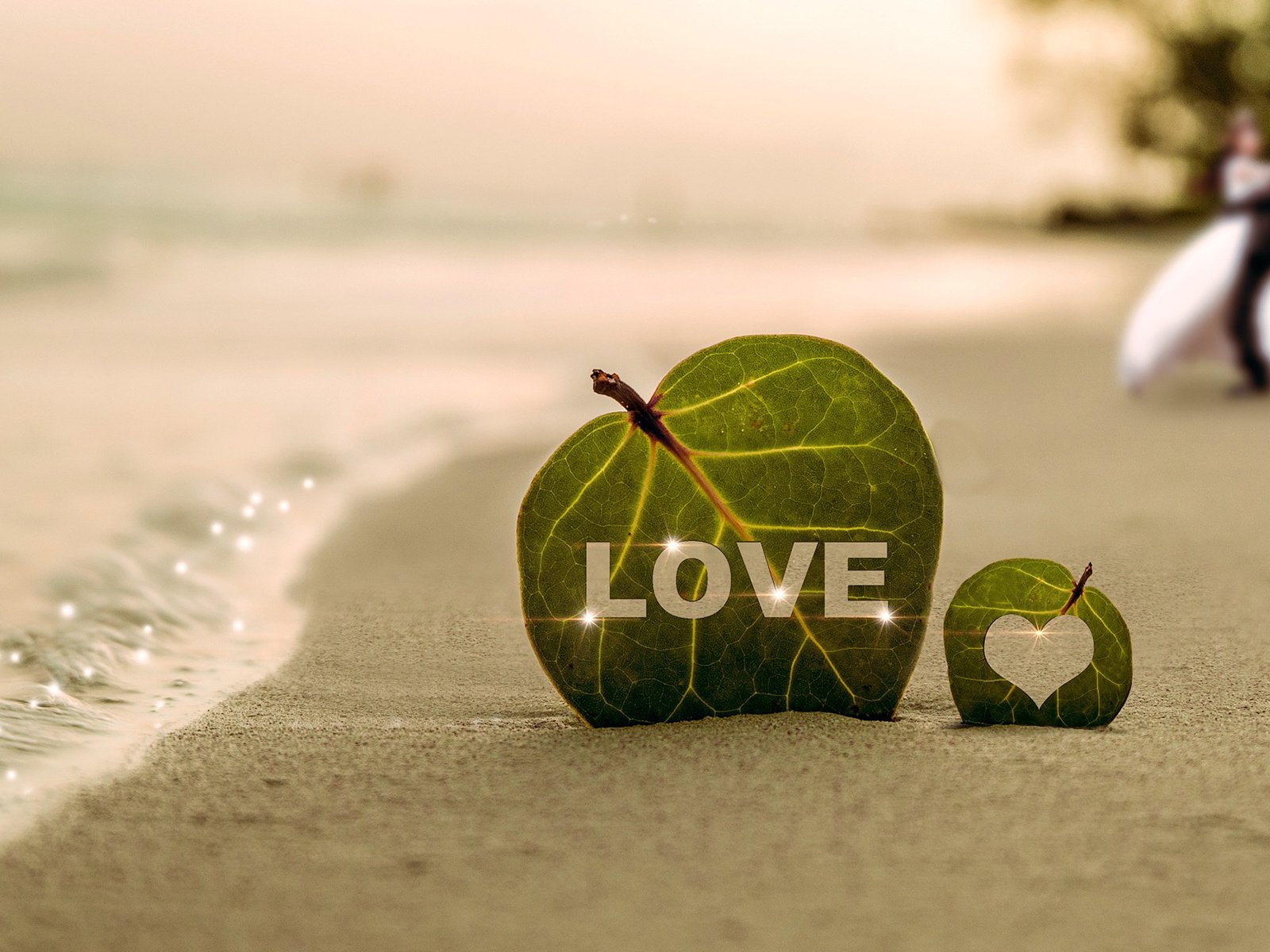 Обои листья, море, песок, пляж, пара, листочек, влюбленная, leaves, sea, sand, beach, pair, leaf, love разрешение 1920x1200 Загрузить