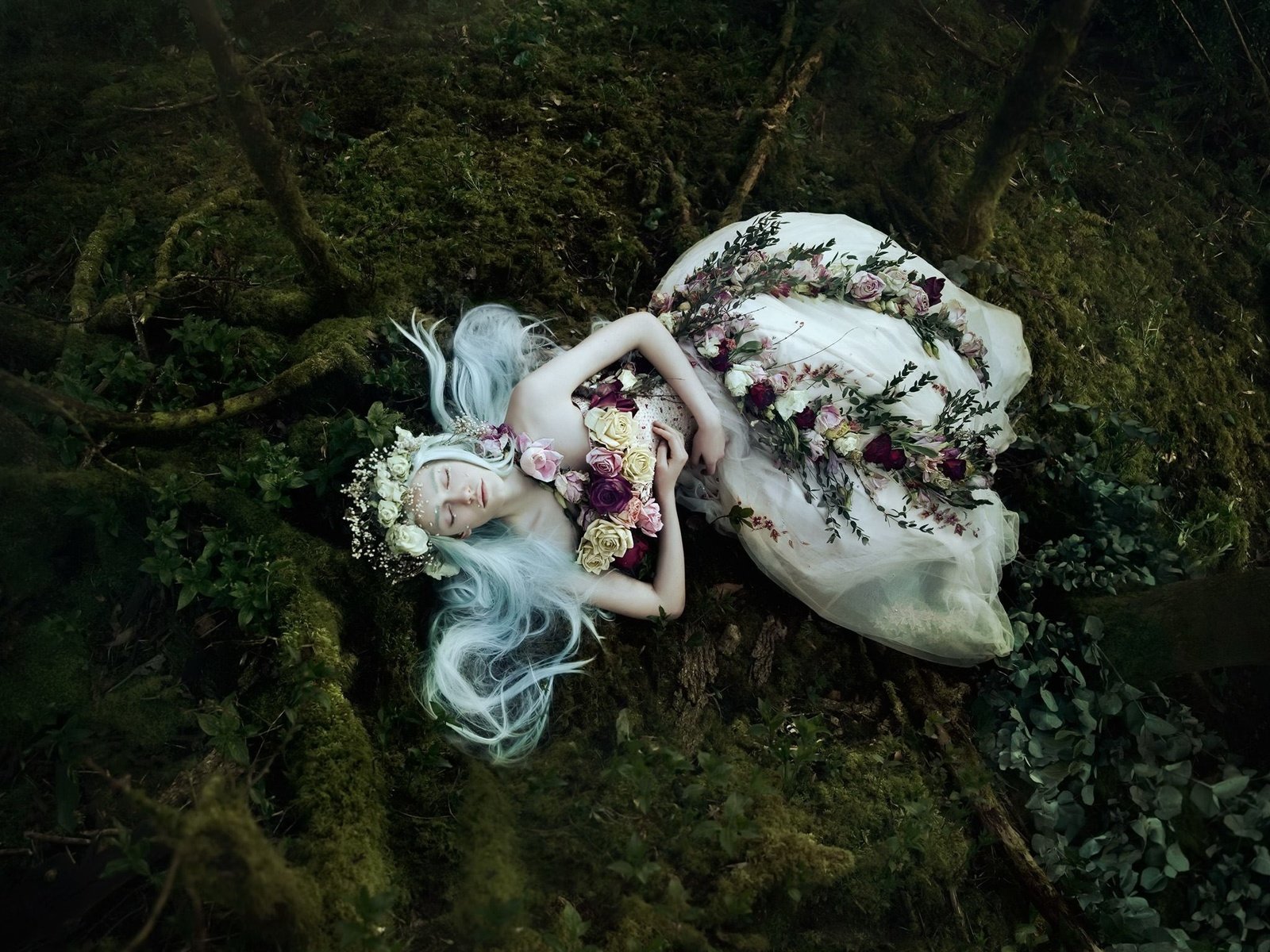 Обои цветы, девушка, мох, bella kotak, flowers, girl, moss разрешение 2048x1667 Загрузить