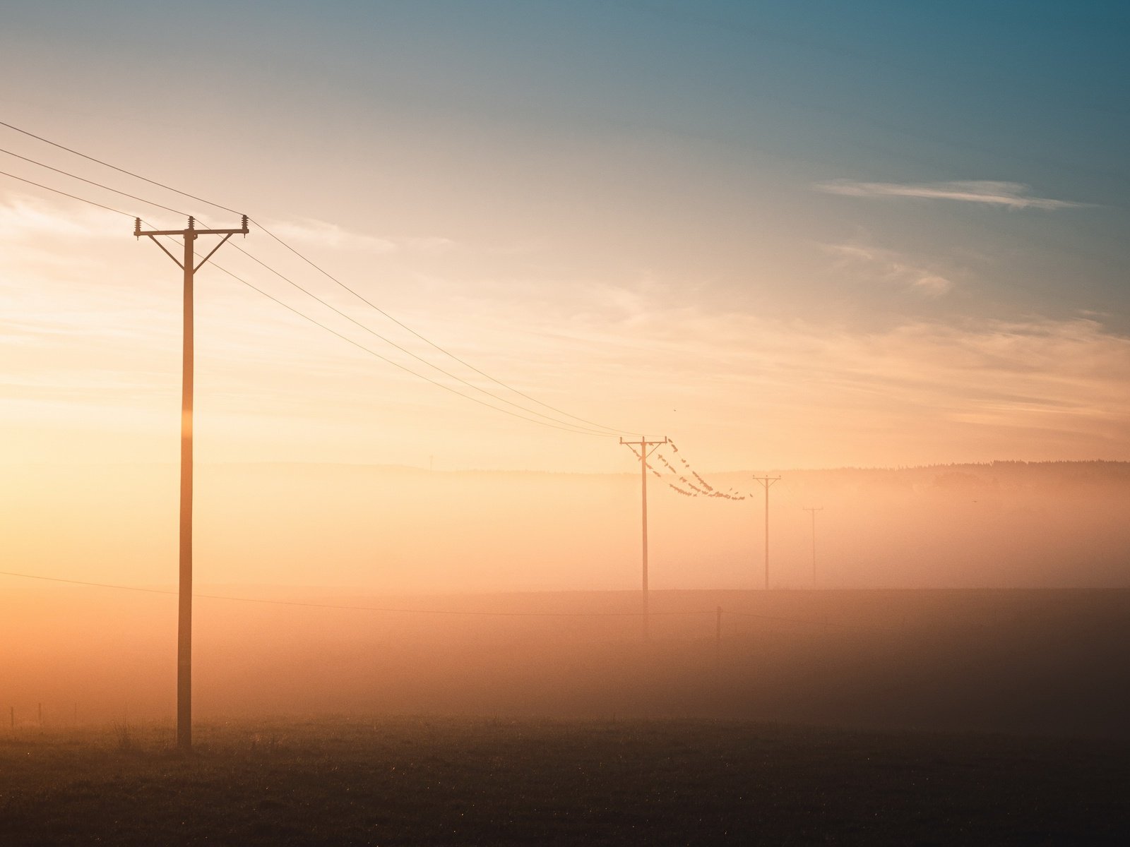 Обои туман, поле, лэп, fog, field, power lines разрешение 3840x2160 Загрузить