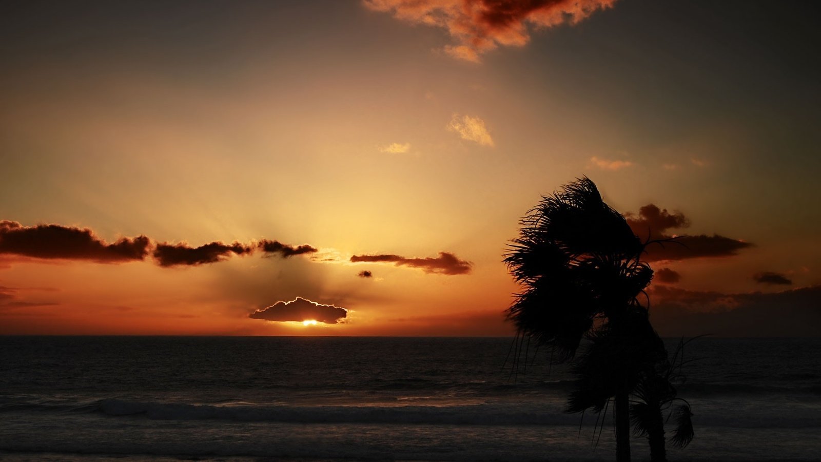 Обои облака, закат, море, пальмы, clouds, sunset, sea, palm trees разрешение 1920x1200 Загрузить