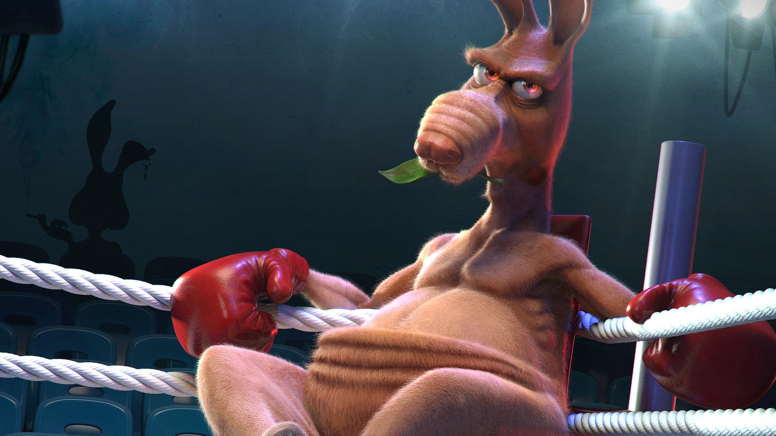 Обои кенгуру, бокс, ринг, kangaroo, boxing, the ring разрешение 1920x1200 Загрузить