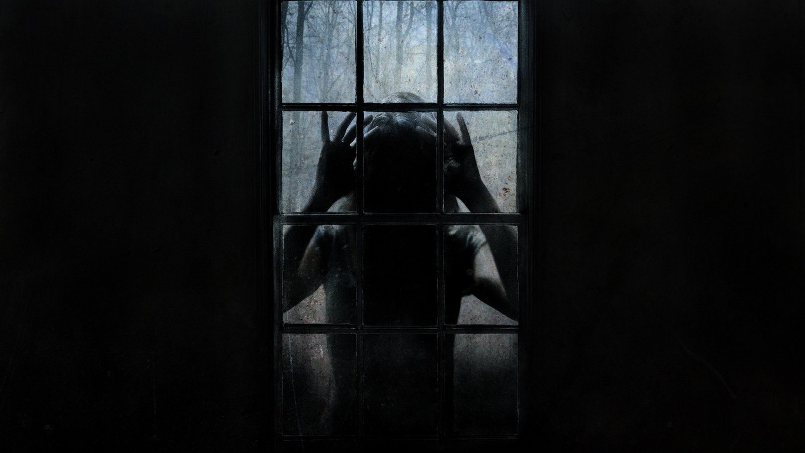 Обои чужой, окно, страх, ужас, stranger, window, fear, horror разрешение 1920x1200 Загрузить