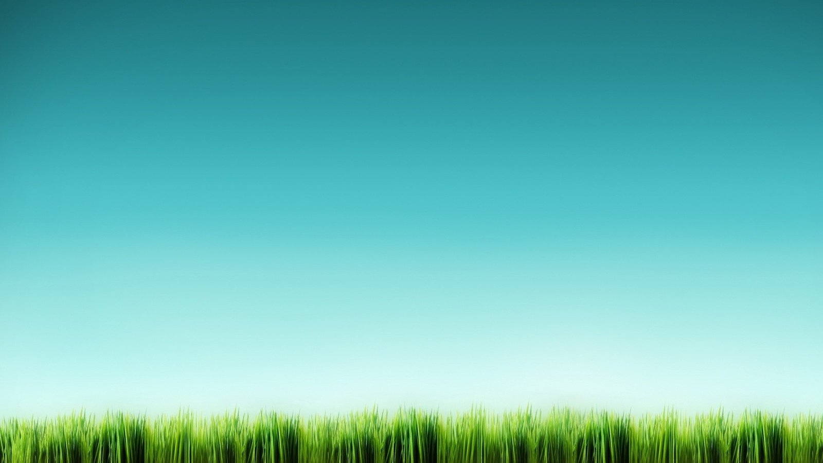 Обои трава, синий, минимализм, grass, blue, minimalism разрешение 1920x1200 Загрузить
