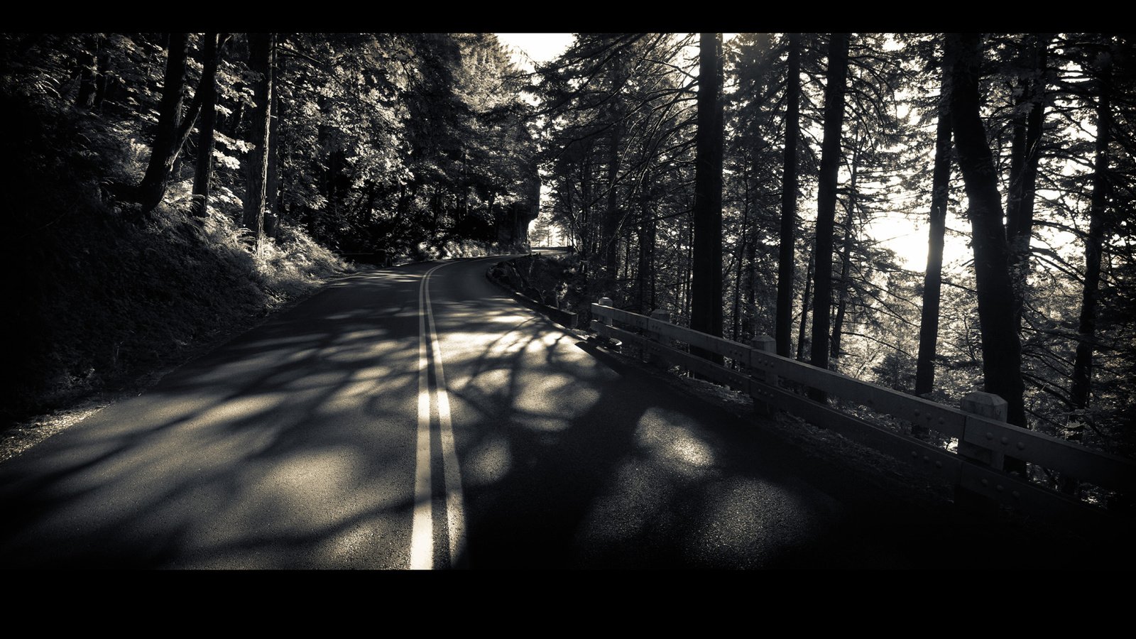Обои дорога, деревья, лес, чёрно-белый, road, trees, forest, black and white разрешение 1920x1200 Загрузить