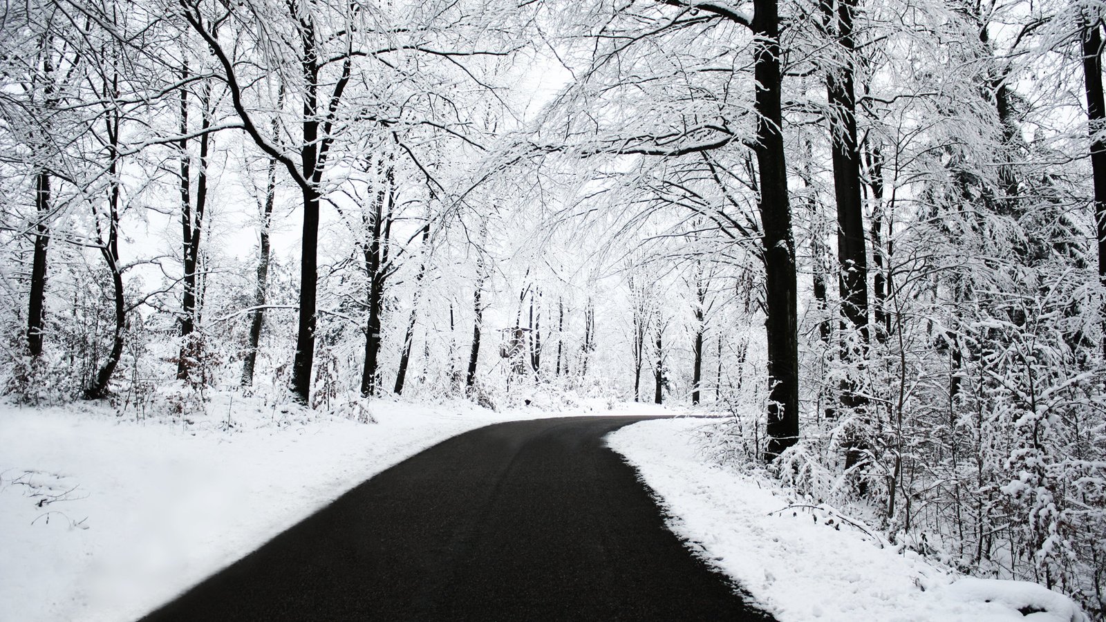 Обои дорога, деревья, снег, зима, иней, road, trees, snow, winter, frost разрешение 1920x1200 Загрузить