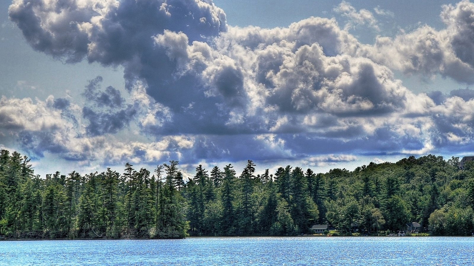 Обои небо, облака, река, лес, ель, the sky, clouds, river, forest, spruce разрешение 1920x1080 Загрузить