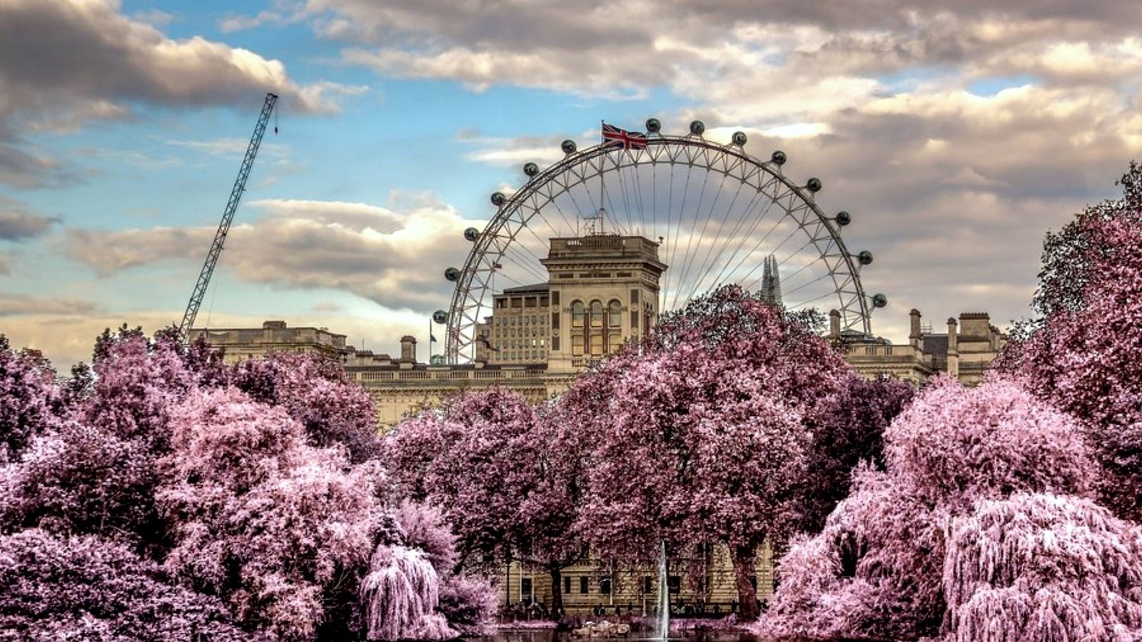 Обои цветы, облака, деревья, колесо обозрения, весна, красиво, flowers, clouds, trees, ferris wheel, spring, beautiful разрешение 2000x1333 Загрузить