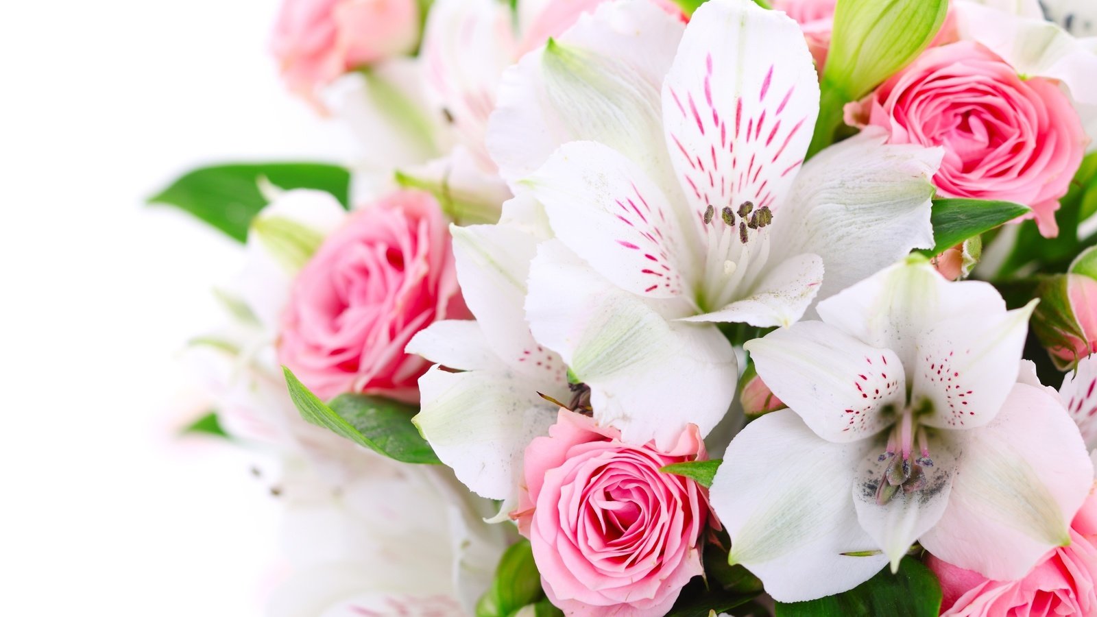 Обои цветы, розы, букет, розовые, белые, орхидеи, flowers, roses, bouquet, pink, white, orchids разрешение 2560x1600 Загрузить