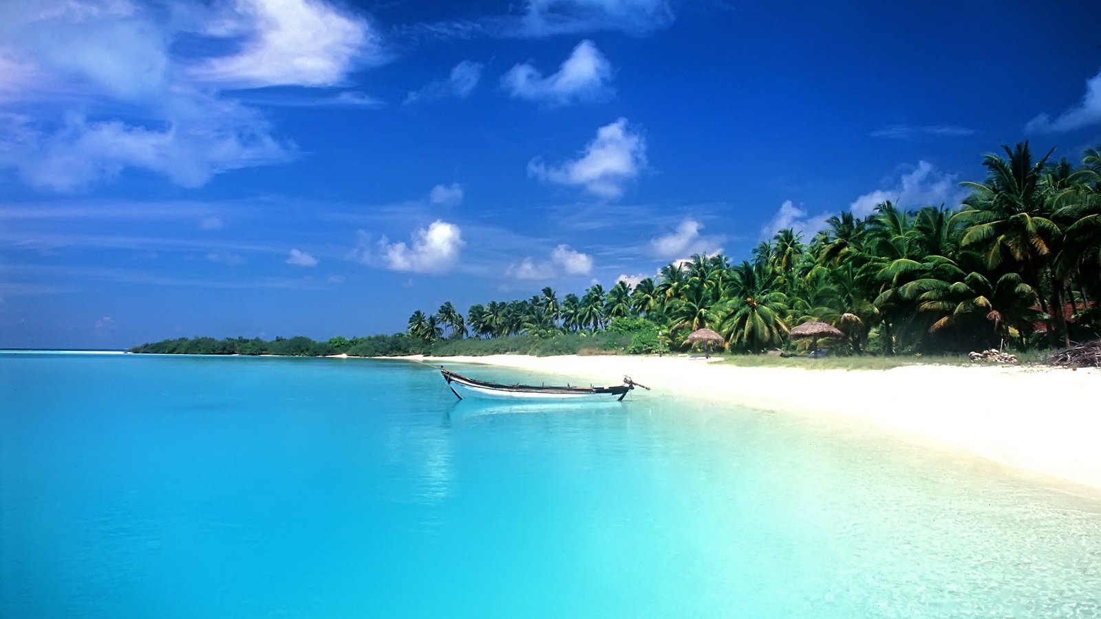 Обои пляж, лодка, пальмы, тропики, мальдивы, beach, boat, palm trees, tropics, the maldives разрешение 1920x1080 Загрузить