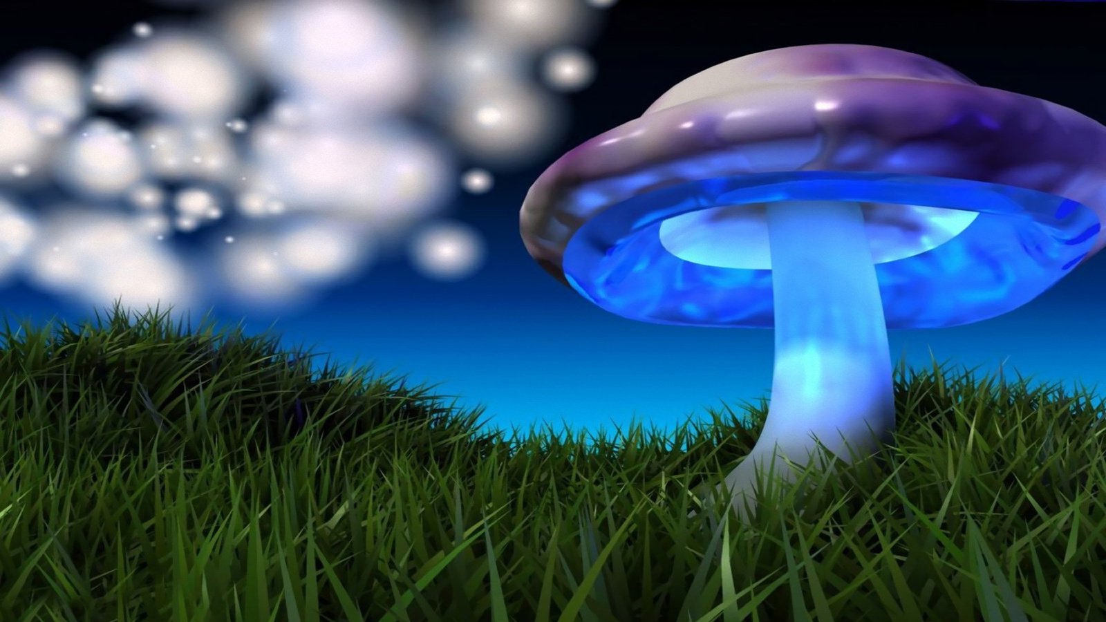 Обои картинка, 3д, зелёная трава, разноцветный гриб, picture, 3d, green grass, colorful mushroom разрешение 1920x1080 Загрузить