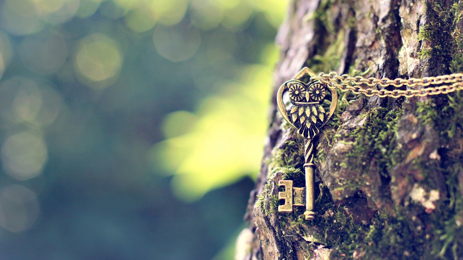 Обои сова, дерево, ключ, металлический, цепочка, подвеска, owl, tree, key, metal, chain, suspension разрешение 1920x1200 Загрузить