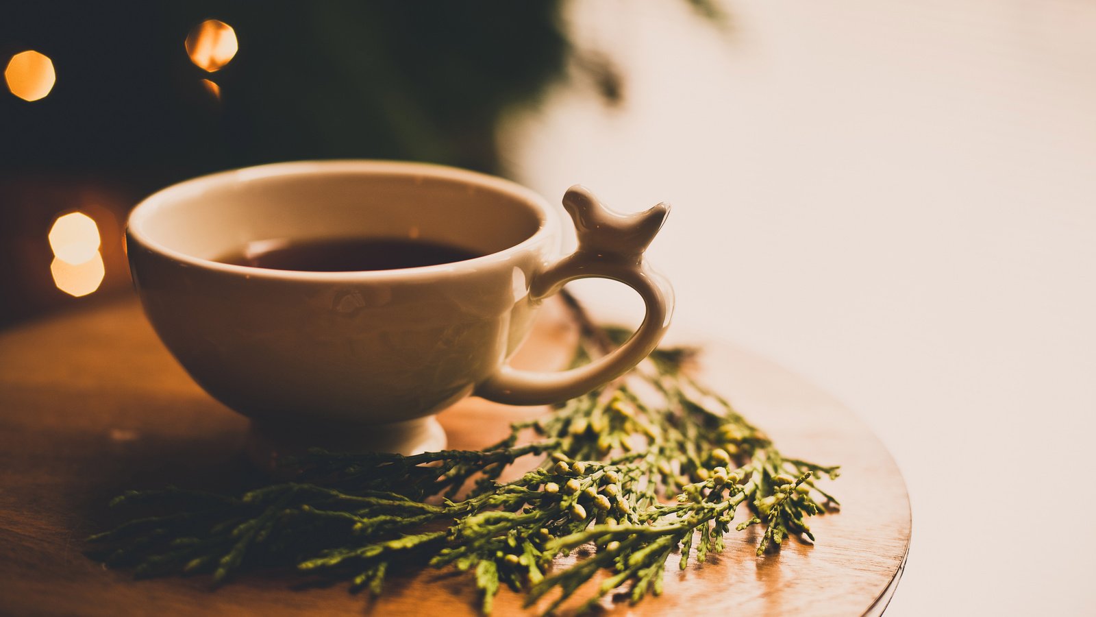 Обои трава, столик, макро, фон, напиток, кофе, растение, чашка, чай, grass, table, macro, background, drink, coffee, plant, cup, tea разрешение 2048x1262 Загрузить