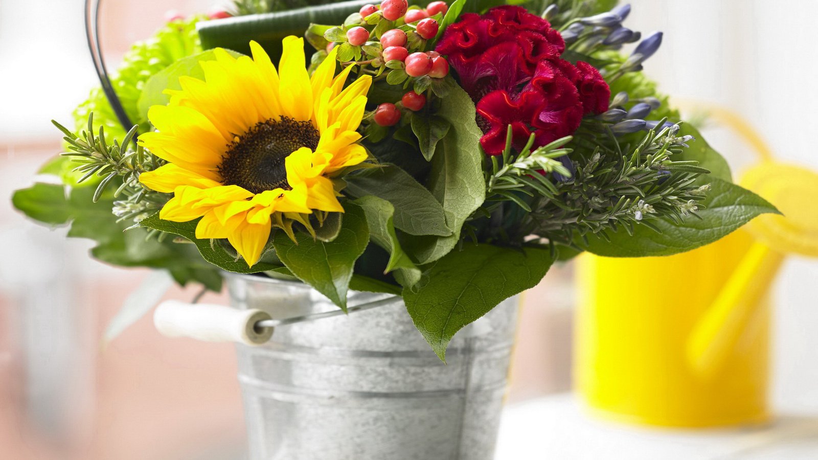 Обои цветы, фото, подсолнухи, гвоздики, flowers, photo, sunflowers, clove разрешение 2000x1568 Загрузить