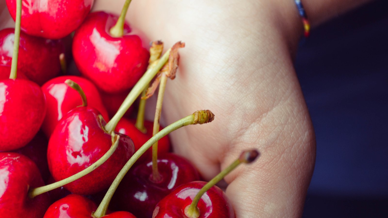 Обои рука, черешня, ягоды, вишня, ладонь, hand, cherry, berries, palm разрешение 4608x3072 Загрузить