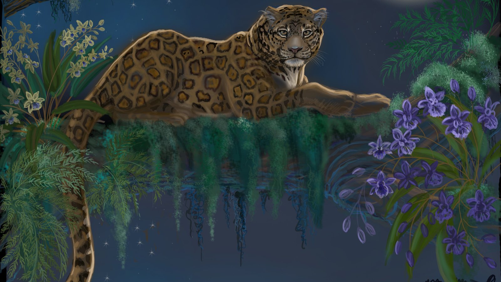 Обои арт, дерево, взгляд, леопард, хищник, животное, хвост, art, tree, look, leopard, predator, animal, tail разрешение 2560x1600 Загрузить