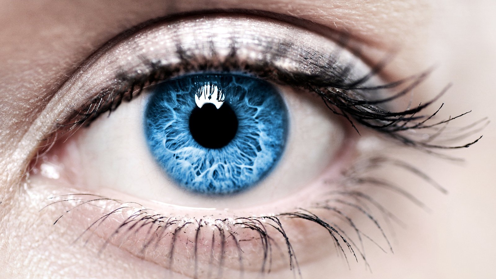 Обои синий, глаз, женщина, голубая, глазок, ирис, blue, eyes, woman, eye, iris разрешение 3000x1976 Загрузить