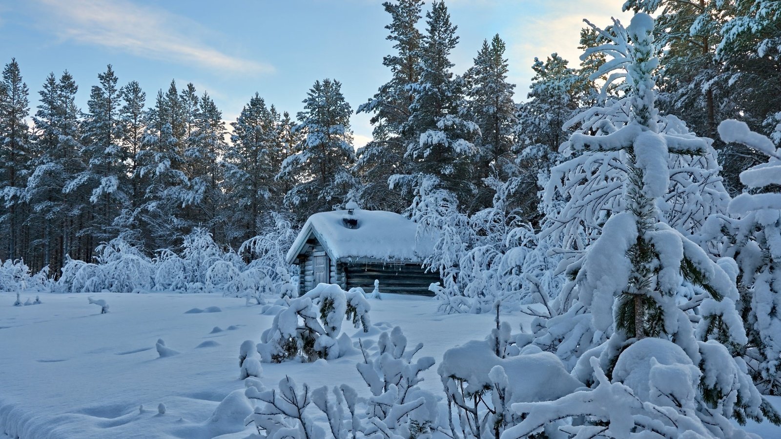 Обои деревья, снег, лес, зима, дом, trees, snow, forest, winter, house разрешение 2048x1340 Загрузить
