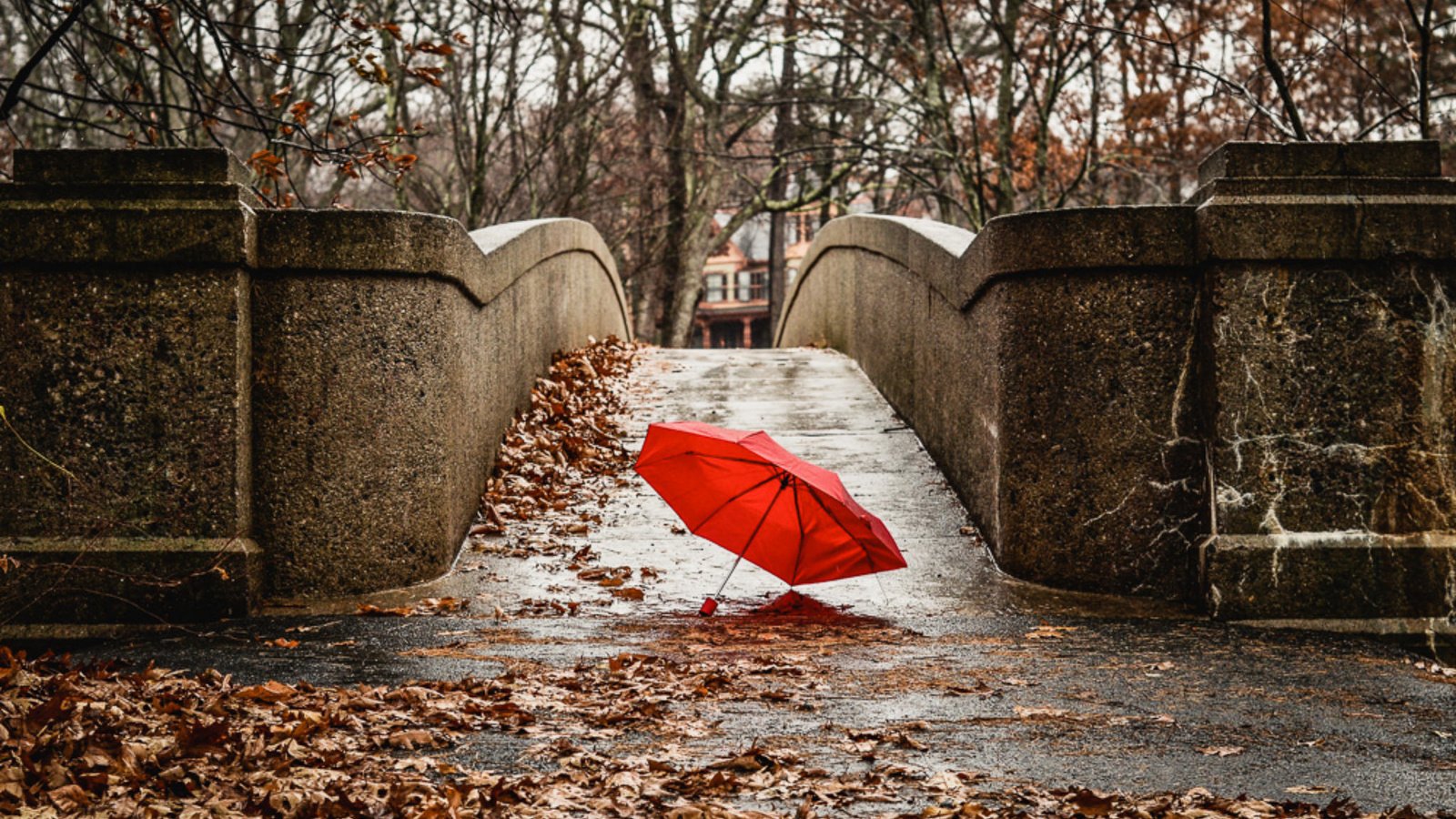 Обои мост, город, осень, красный, зонтик, bridge, the city, autumn, red, umbrella разрешение 2048x1305 Загрузить