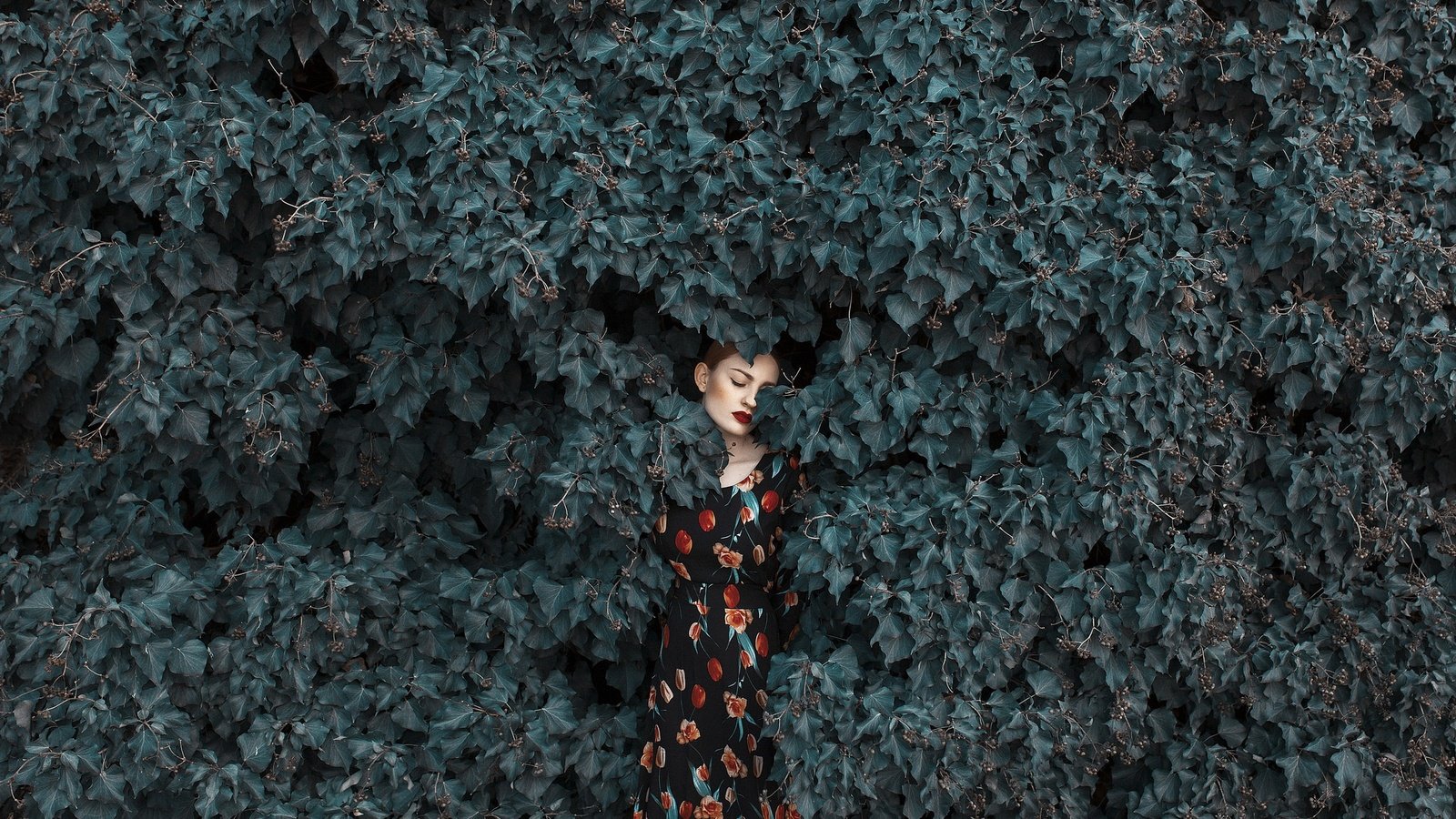 Обои девушка, платье, листва, лицо, girl, dress, foliage, face разрешение 2048x1365 Загрузить