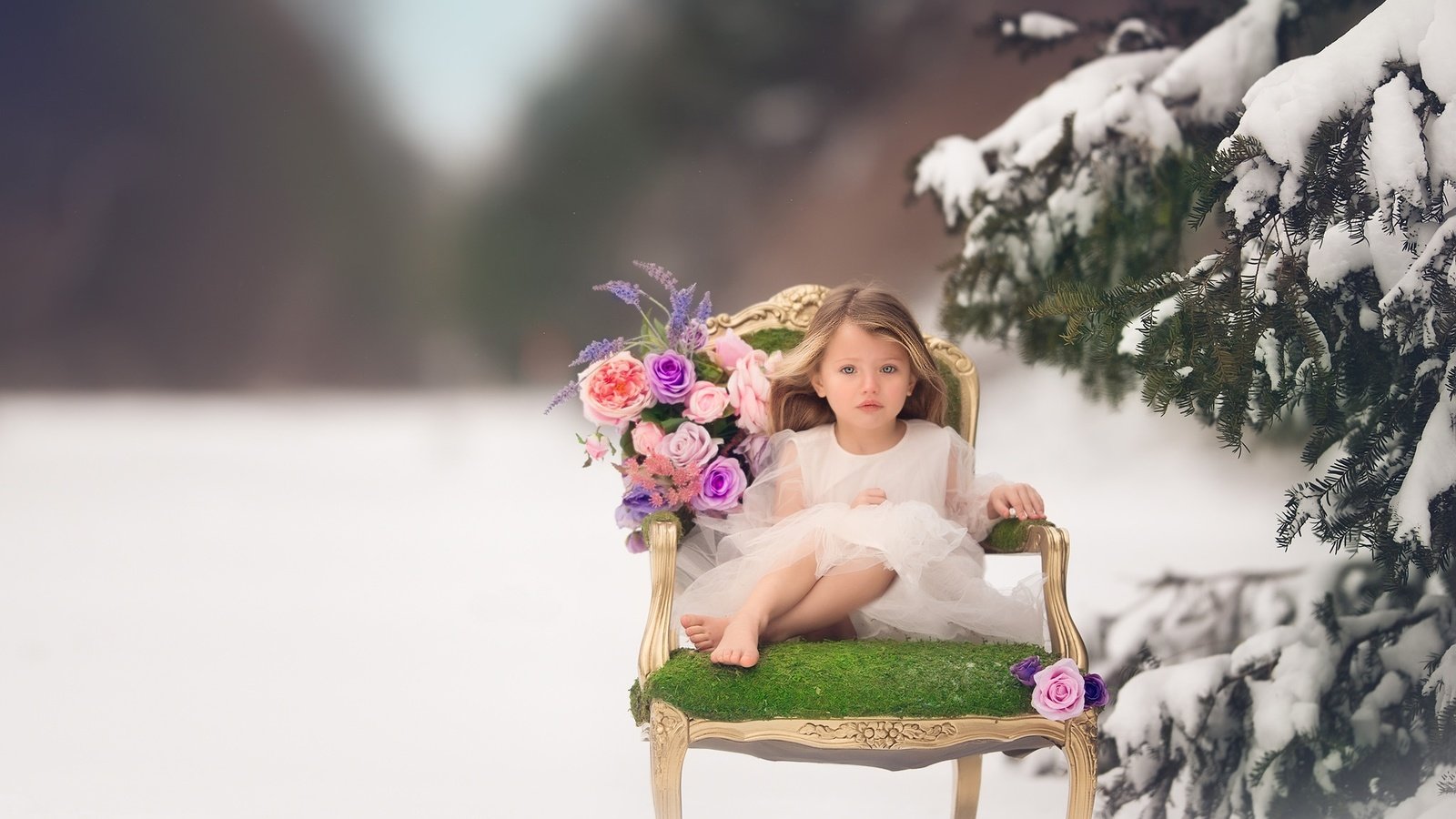 Обои цветы, кресло, снег, зима, настроение, розы, дети, девочка, ель, flowers, chair, snow, winter, mood, roses, children, girl, spruce разрешение 2048x1421 Загрузить