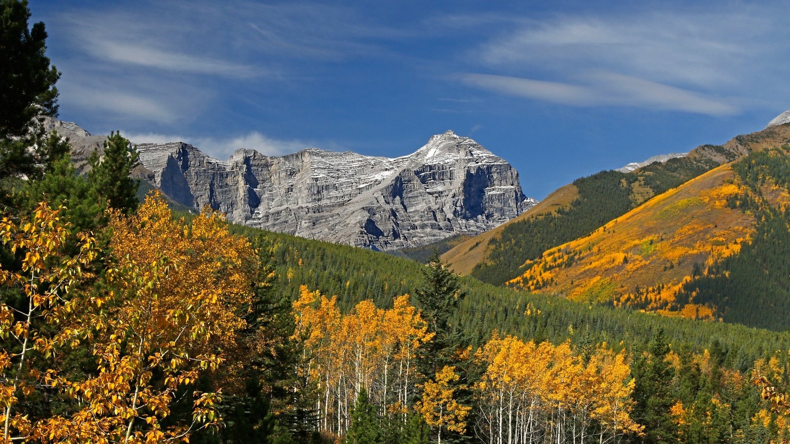 Обои деревья, горы, осень, канада, альберта, кананаскис, trees, mountains, autumn, canada, albert, kananaskis разрешение 2048x1365 Загрузить