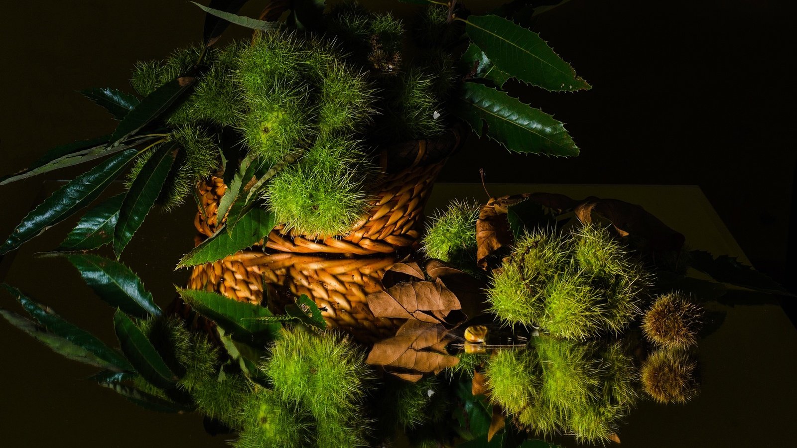 Обои зелень, листья, отражение, черный фон, натюрморт, каштан, greens, leaves, reflection, black background, still life, chestnut разрешение 2048x1401 Загрузить