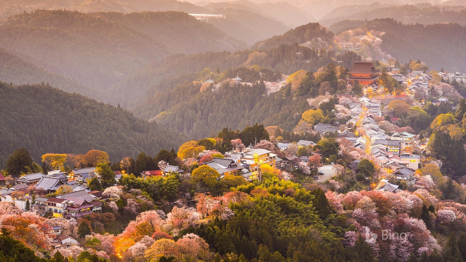 Обои деревья, горы, цветение, город, япония, весна, сакура, yoshino, trees, mountains, flowering, the city, japan, spring, sakura разрешение 1920x1200 Загрузить