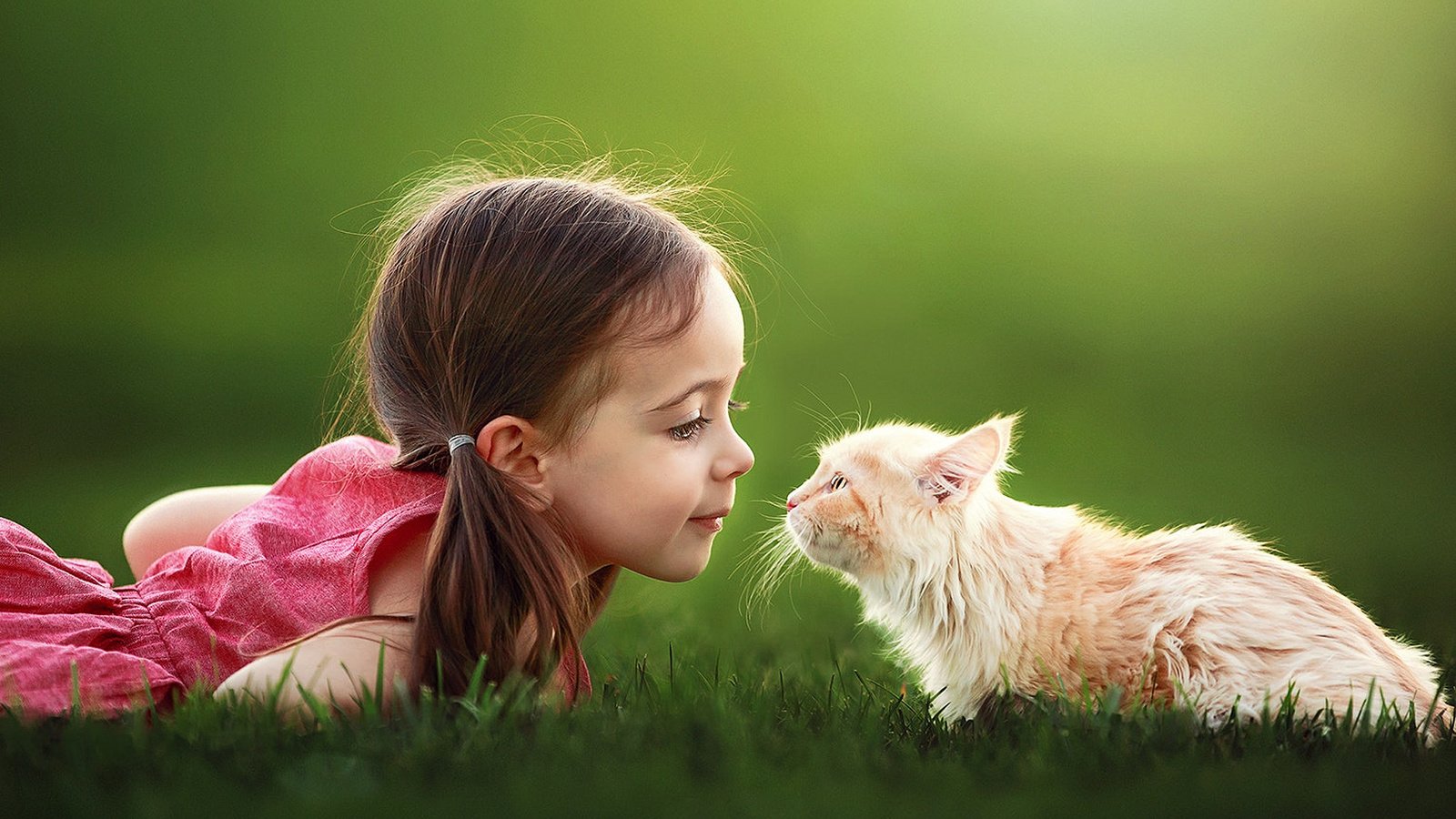Обои трава, настроение, кот, кошка, девочка, ребенок, suzy mead, grass, mood, cat, girl, child разрешение 1920x1200 Загрузить