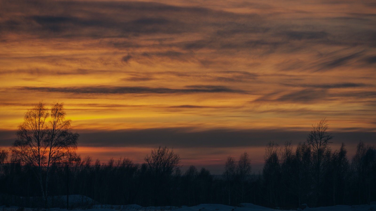 Обои деревья, снег, закат, зима, trees, snow, sunset, winter разрешение 4230x2820 Загрузить