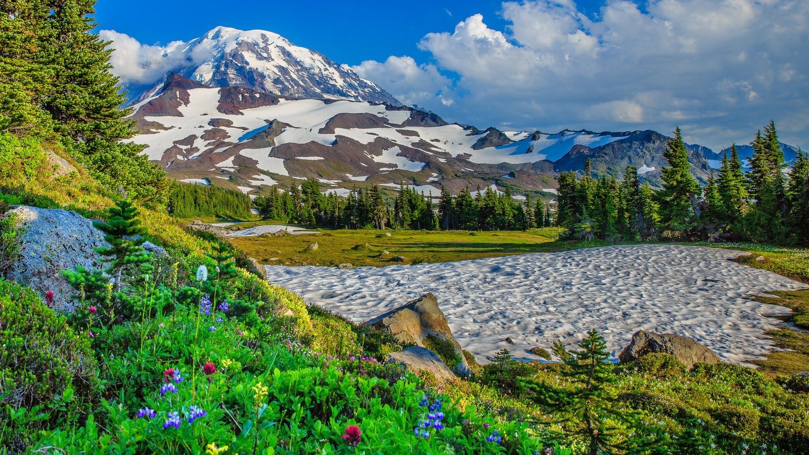 Обои цветы, деревья, горы, снег, сша, штат вашингтон, flowers, trees, mountains, snow, usa, washington разрешение 2048x1470 Загрузить