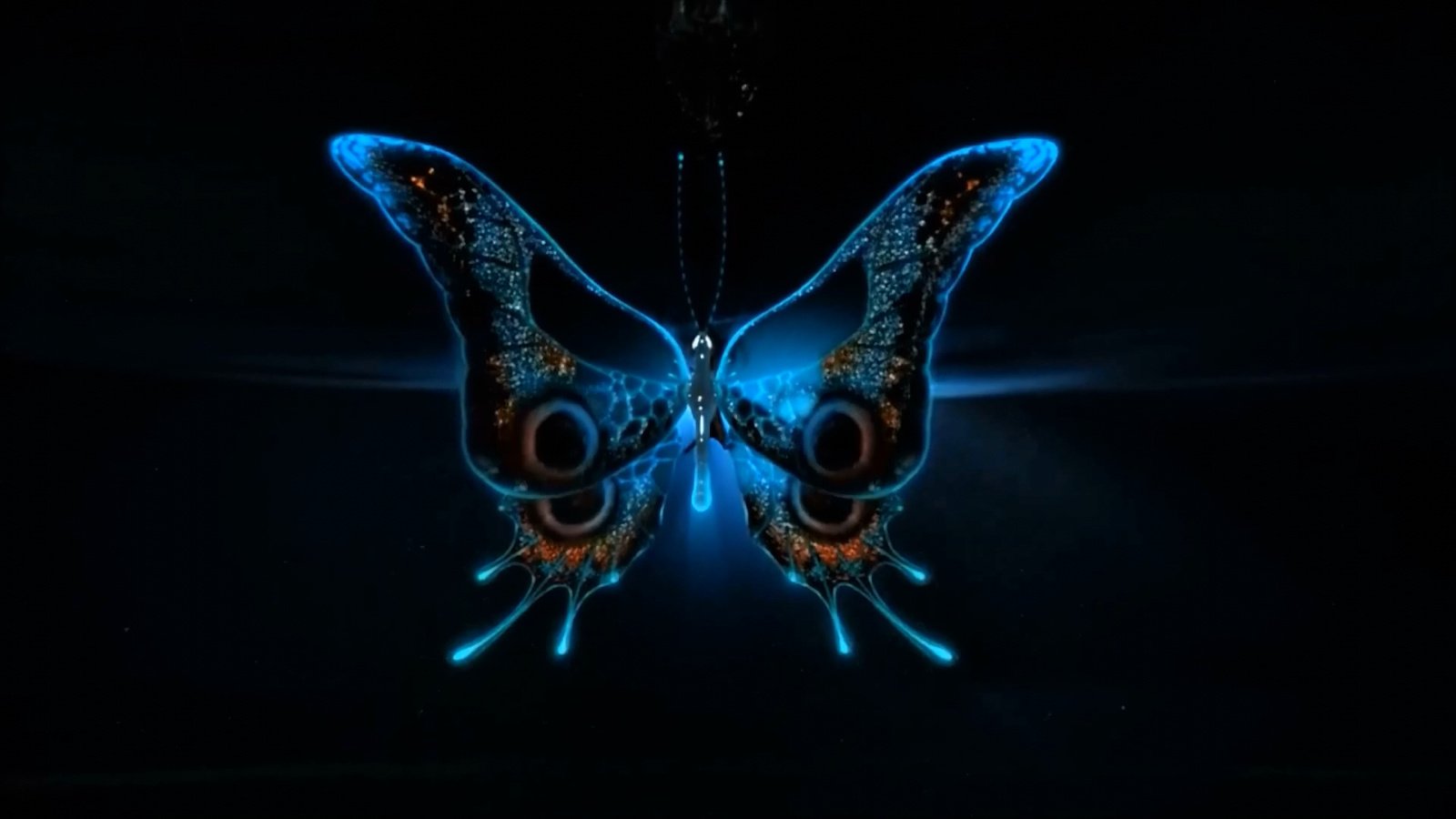 Обои свет, неон, насекомое, бабочка, крылья, черный фон, 3д, light, neon, insect, butterfly, wings, black background, 3d разрешение 1920x1080 Загрузить