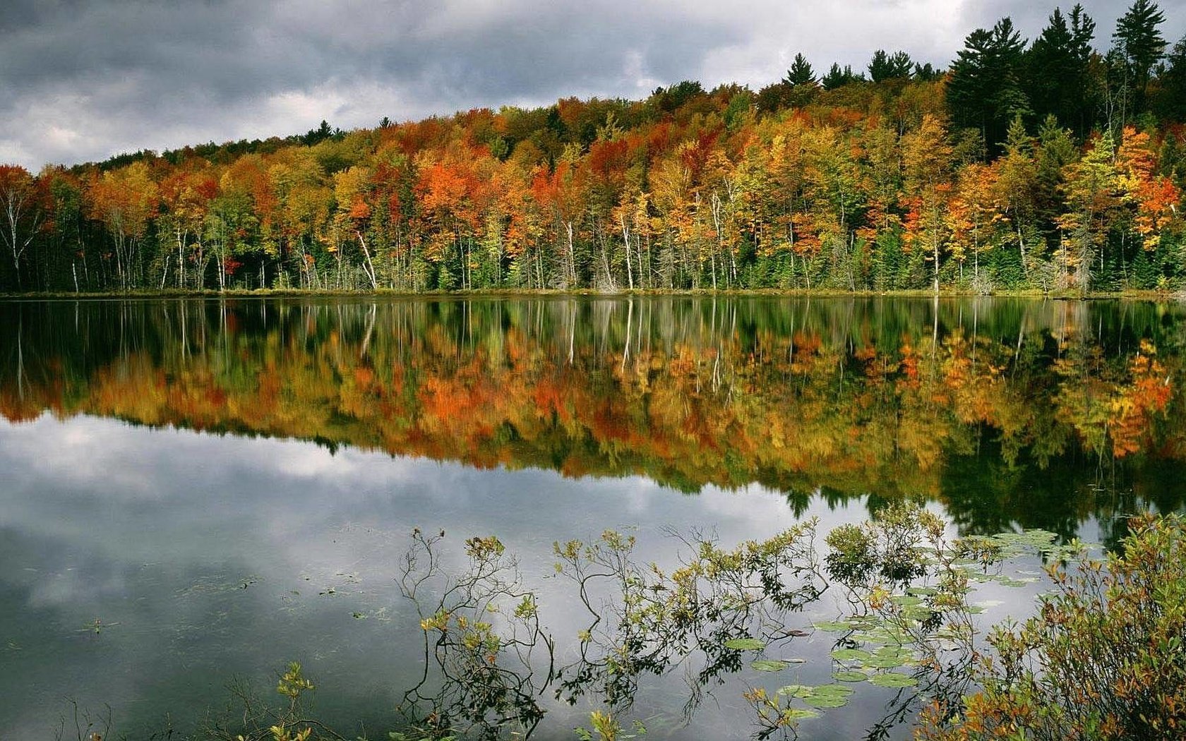 Обои деревья, вода, озеро, лес, отражение, осень, trees, water, lake, forest, reflection, autumn разрешение 1920x1080 Загрузить