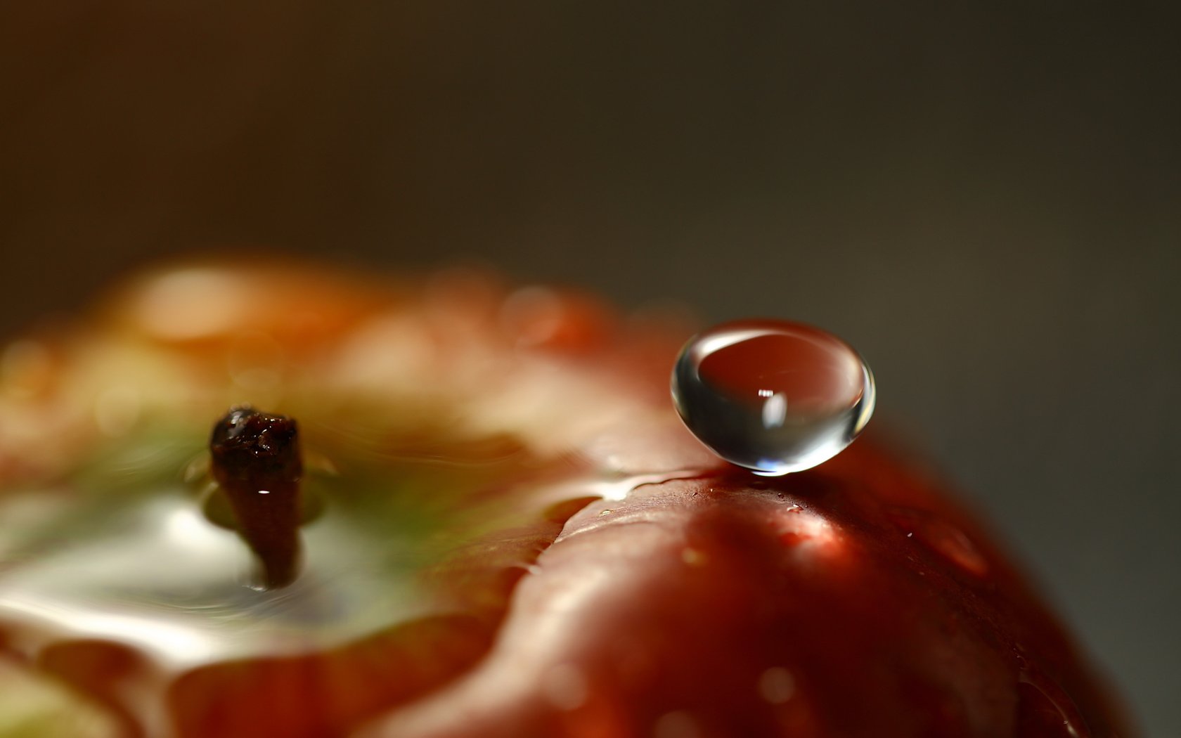 Обои вода, капля, фрукты, яблоко, крупным планом, water, drop, fruit, apple, closeup разрешение 1920x1200 Загрузить