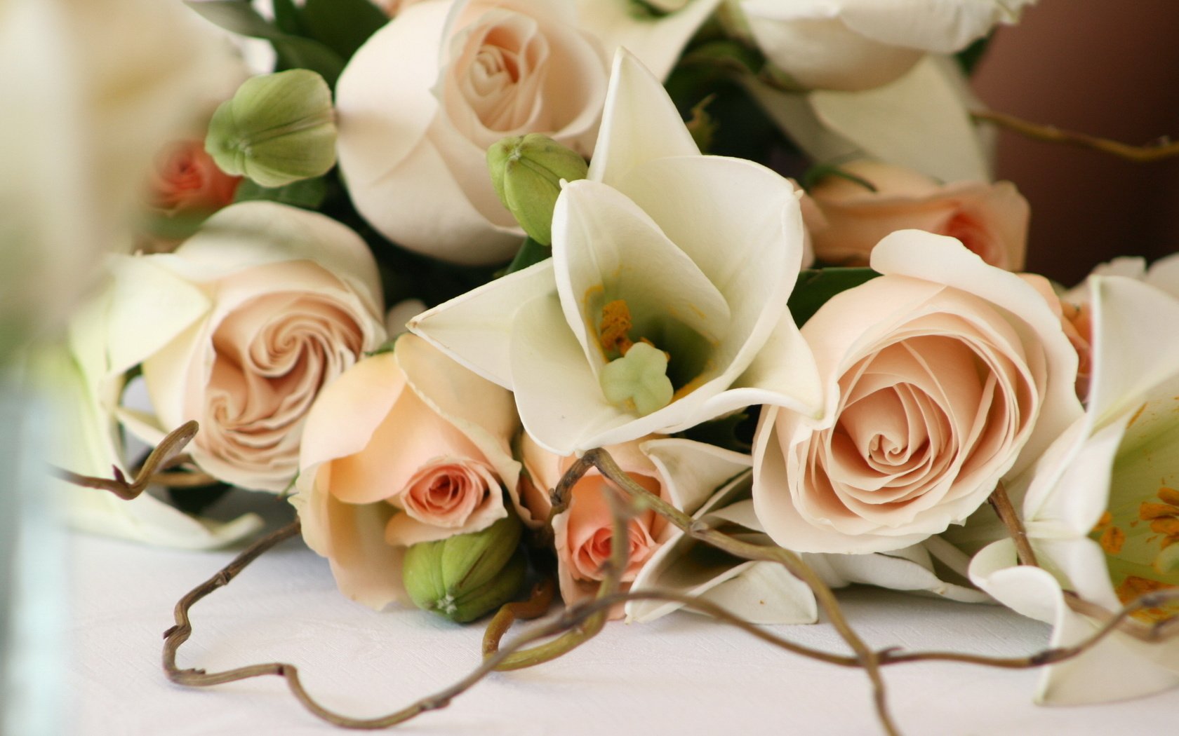 Обои цветы, rozy, svadba, бутоны, romantika, розы, романтика, букет, свадьба, красиво, cvety, krasivo, flowers, buds, roses, romance, bouquet, wedding, beautiful разрешение 1920x1200 Загрузить