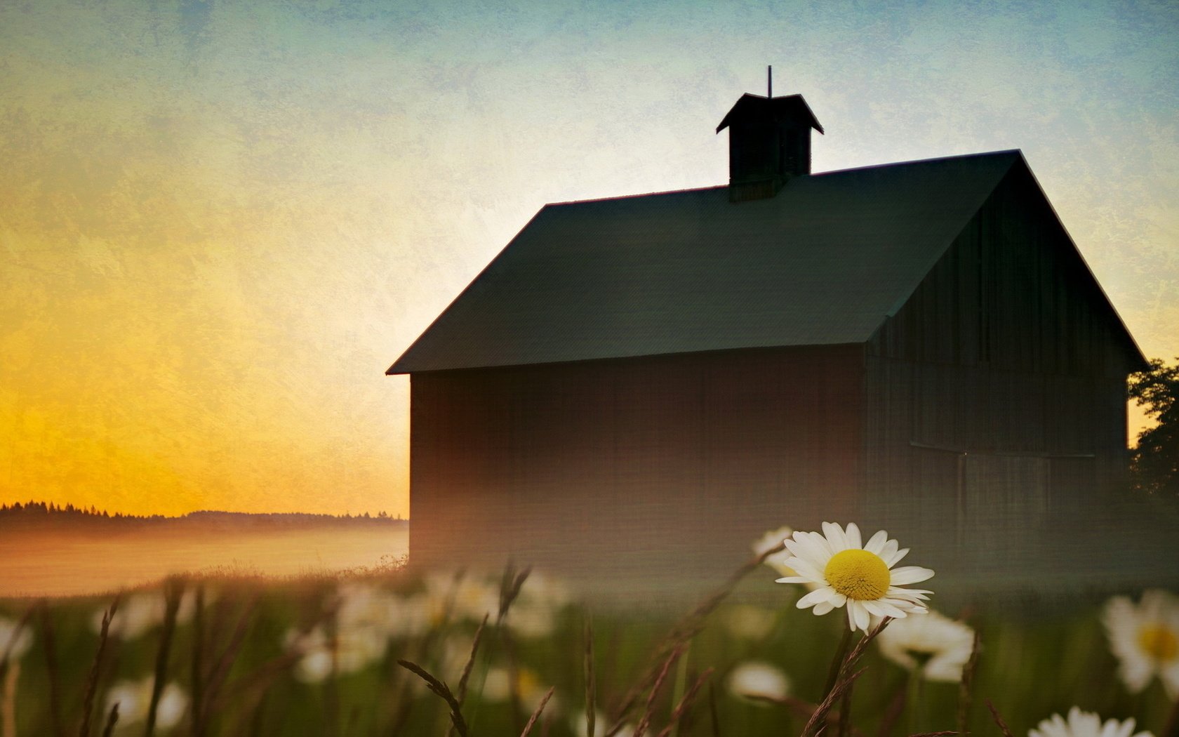 Обои небо, цветы, пейзаж, туман, дом, ромашки, the sky, flowers, landscape, fog, house, chamomile разрешение 1920x1080 Загрузить