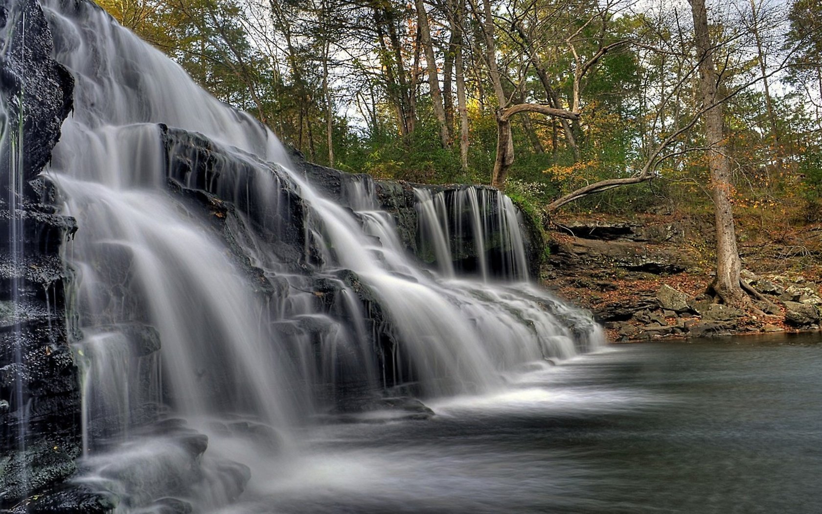 Обои водопад в лесу, waterfall in the forest разрешение 2560x1440 Загрузить