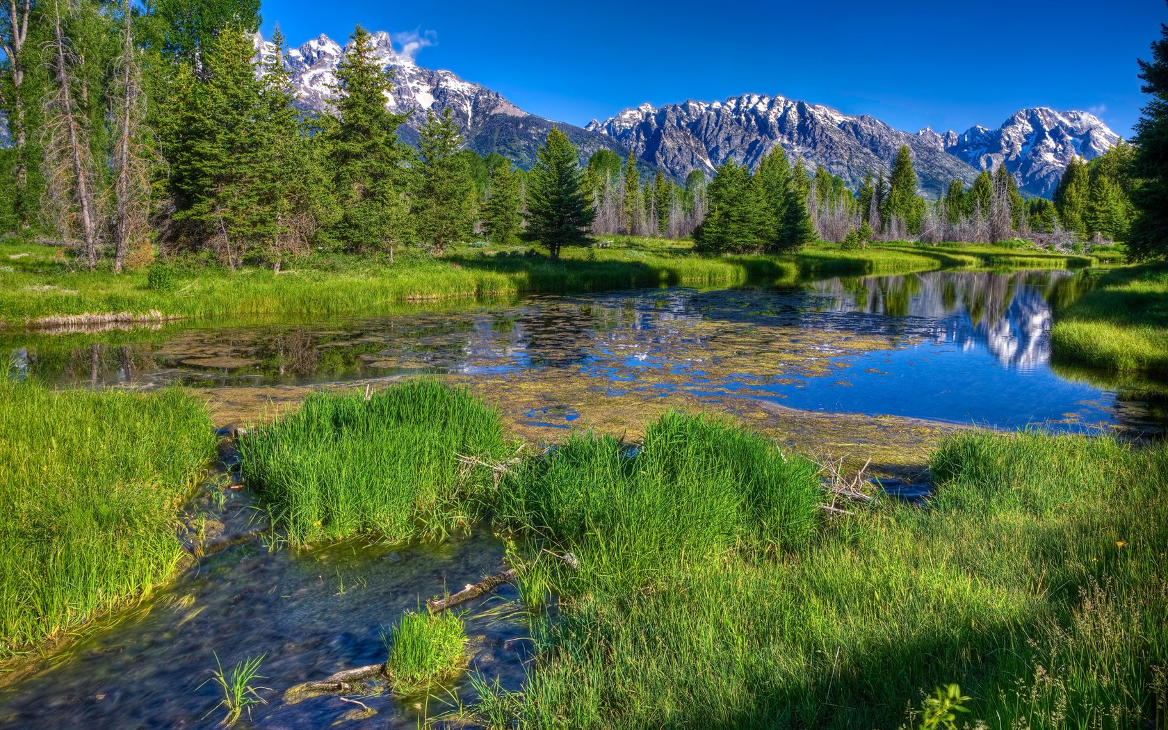 Обои трава, деревья, река, горы, лес, даль, зеленая, речка, grass, trees, river, mountains, forest, dal, green разрешение 2560x1600 Загрузить