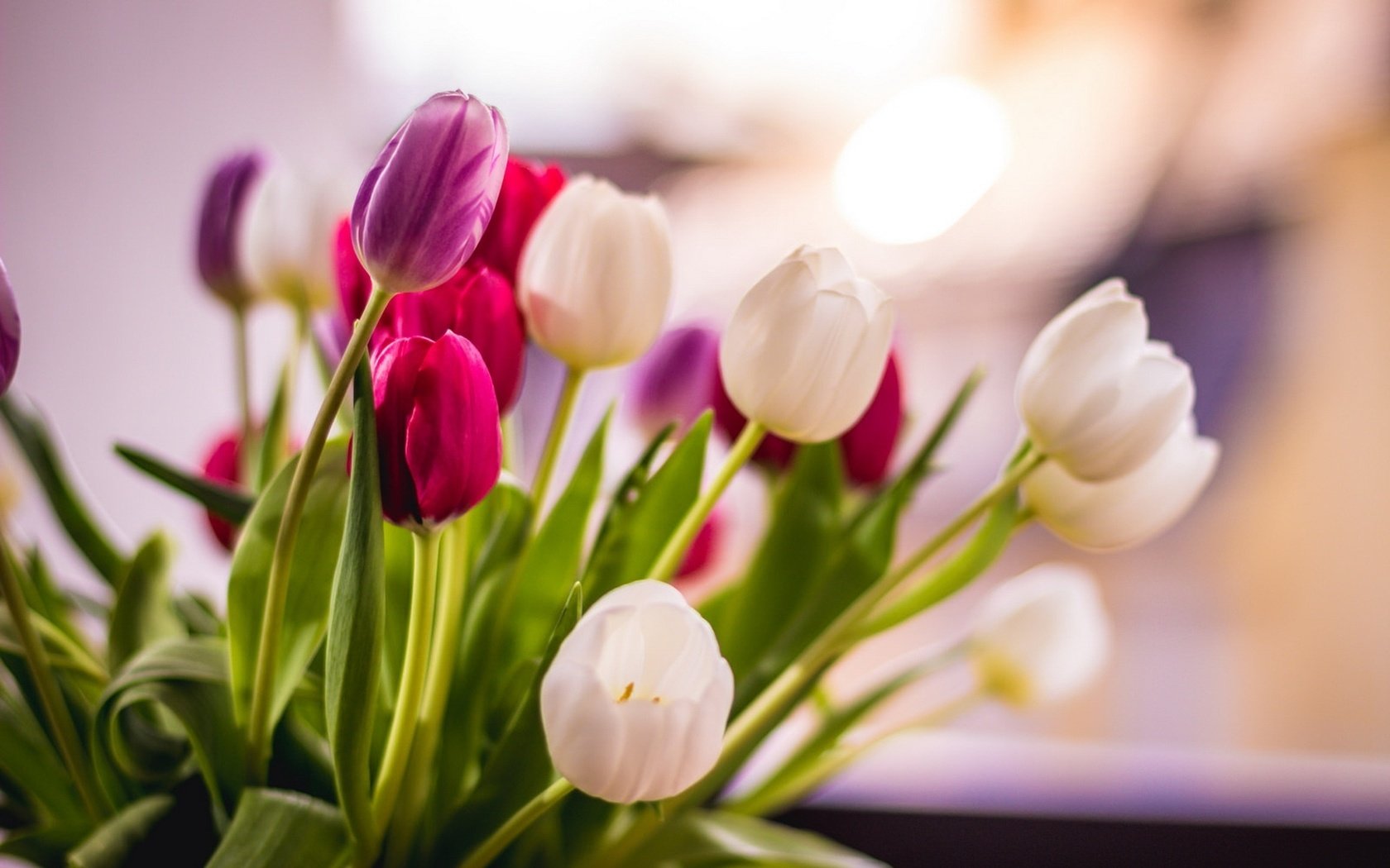 Обои цветы, фон, тюльпаны, flowers, background, tulips разрешение 1920x1200 Загрузить