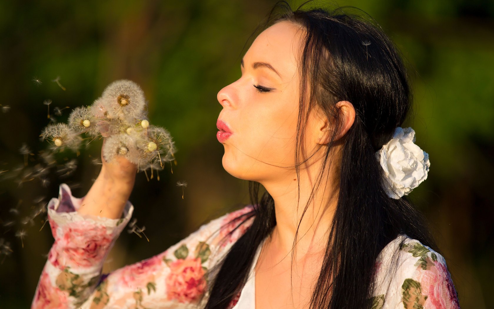 Обои цветы, брюнетка, модель, лицо, кети, одуванчик, flowers, brunette, model, face, katie, dandelion разрешение 5416x3480 Загрузить