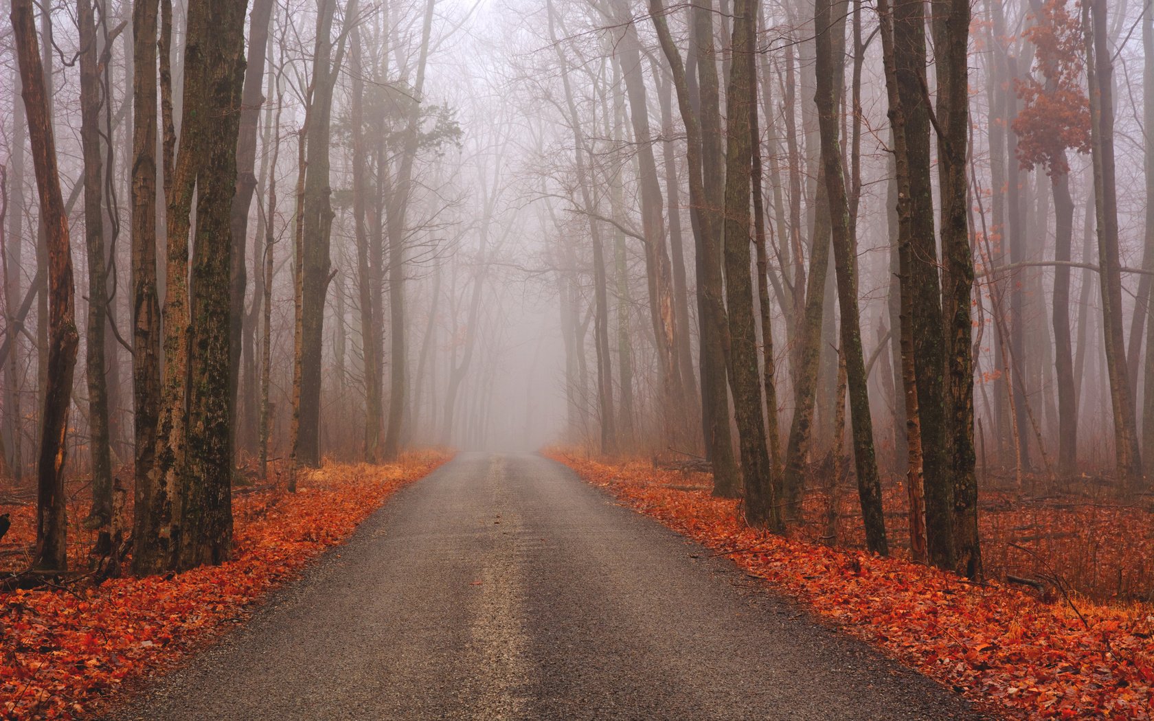 Обои дорога, лес, осень, road, forest, autumn разрешение 2048x1364 Загрузить