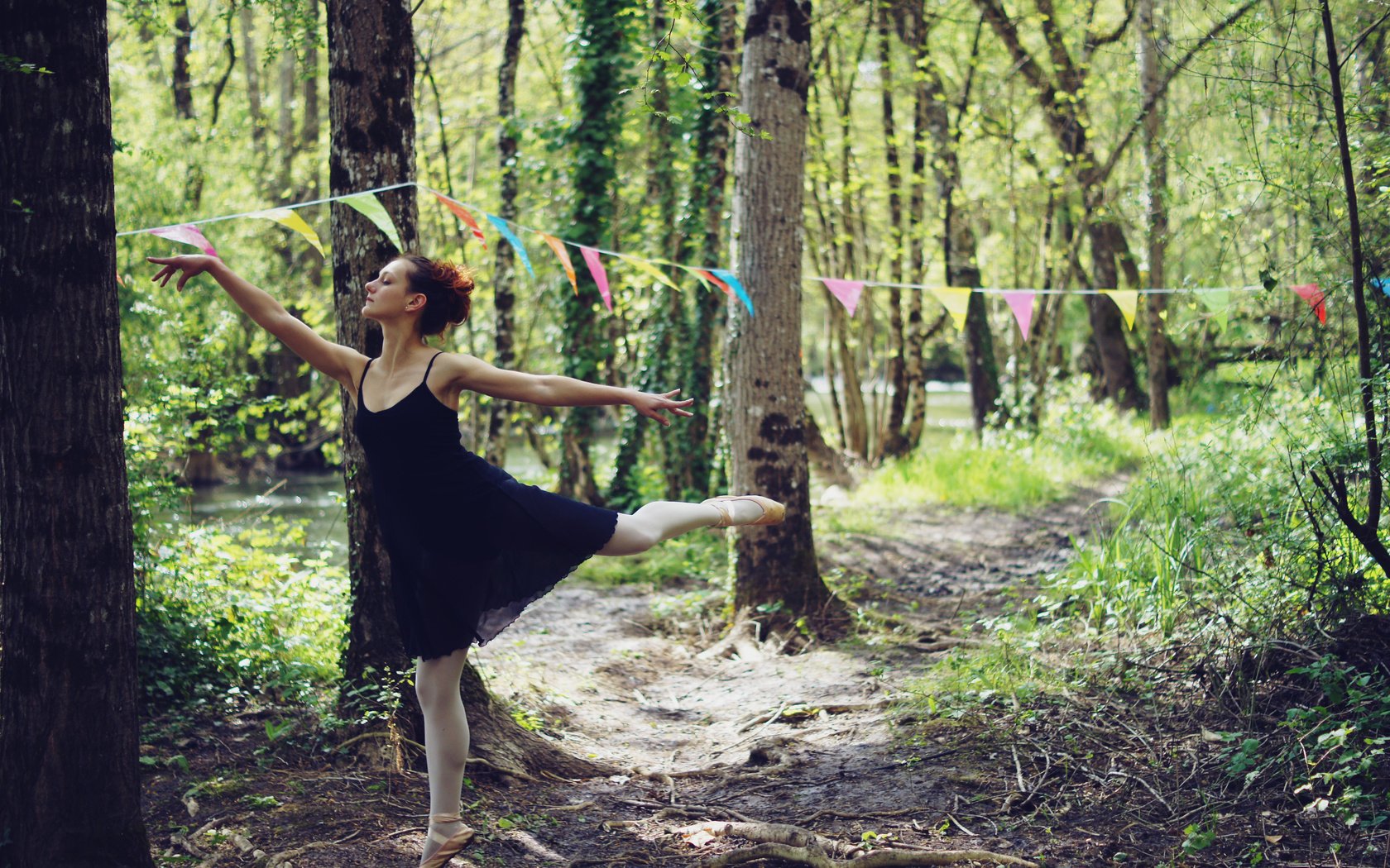 Обои лес, девушка, танец, флажки, forest, girl, dance, flags разрешение 4592x3056 Загрузить